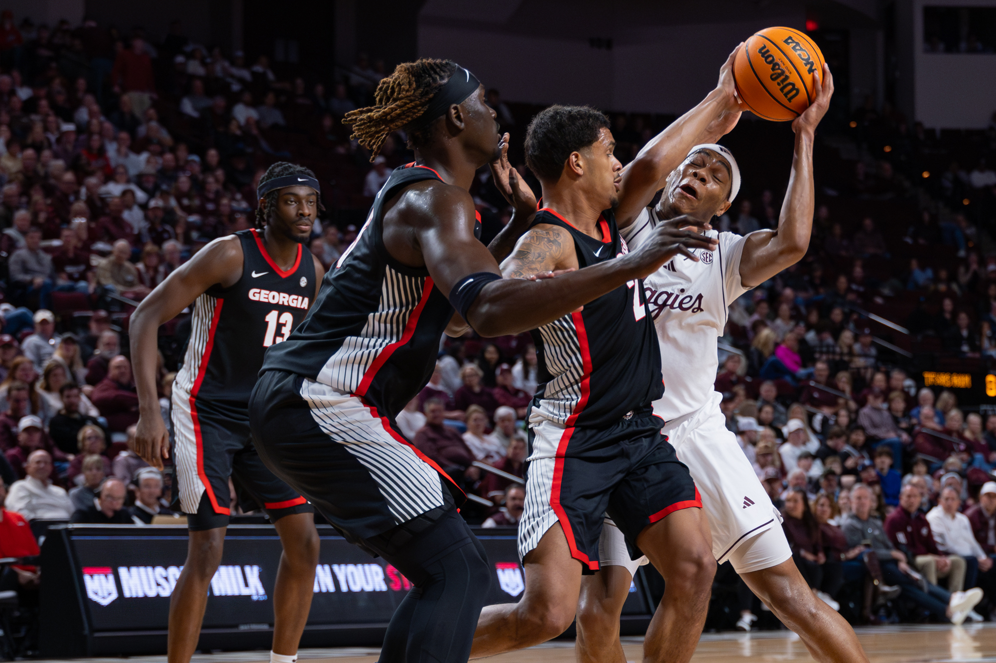 GALLERY: Men's Basketball vs. Georgia