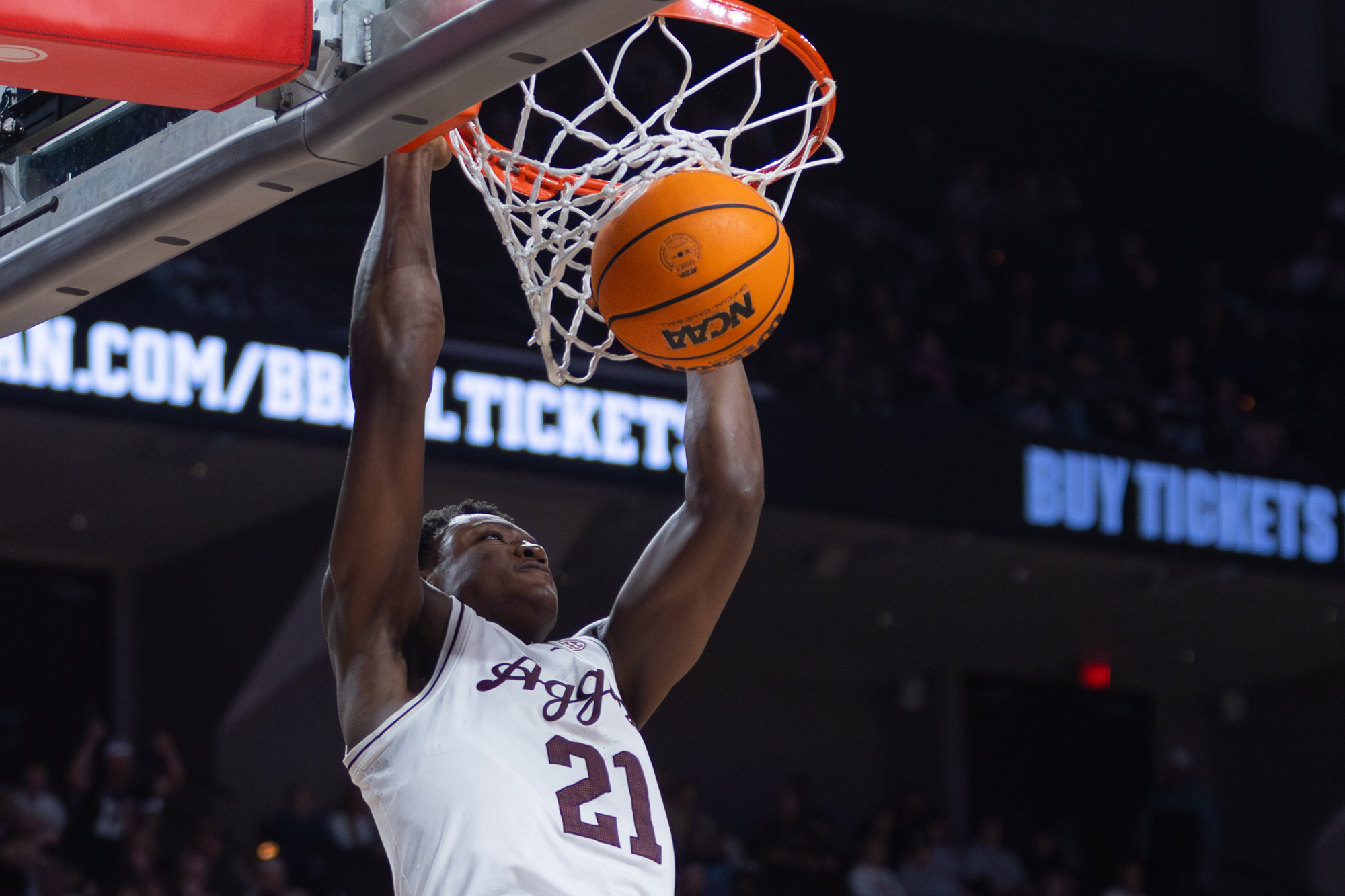 GALLERY: Men's Basketball vs. Georgia