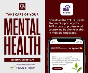 Td Https Uhs.tamu.edu Mental Health Student Support.html