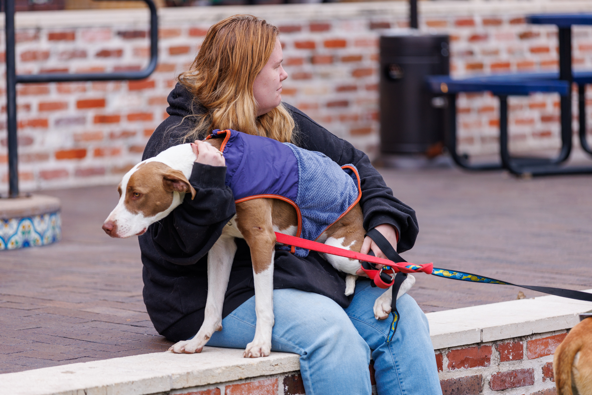 Valentine’s Day with a purpose: ‘Smooch-A-Pooch’ supports rescue dogs