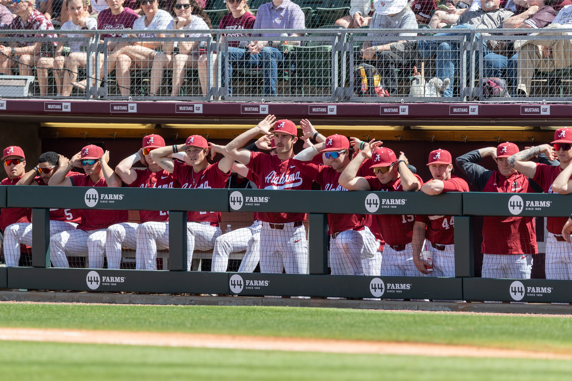 GALLERY: Baseball vs. Alabama