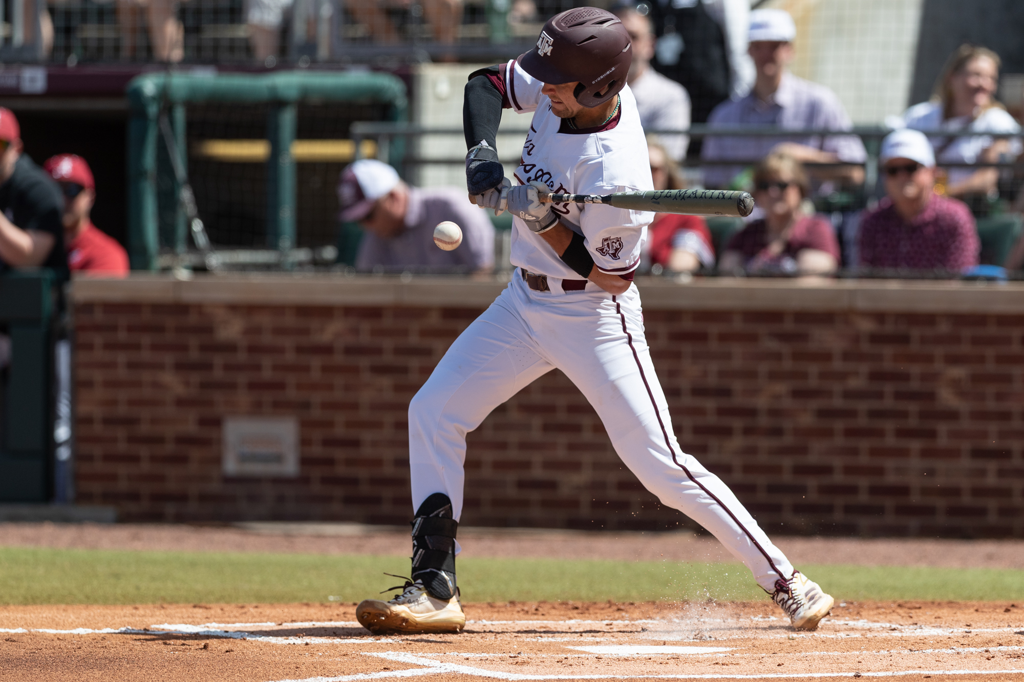 GALLERY: Baseball vs. Alabama