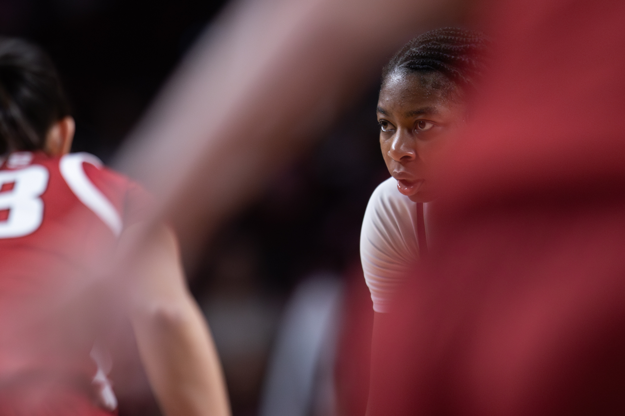 GALLERY: Women's Basketball vs. Arkansas