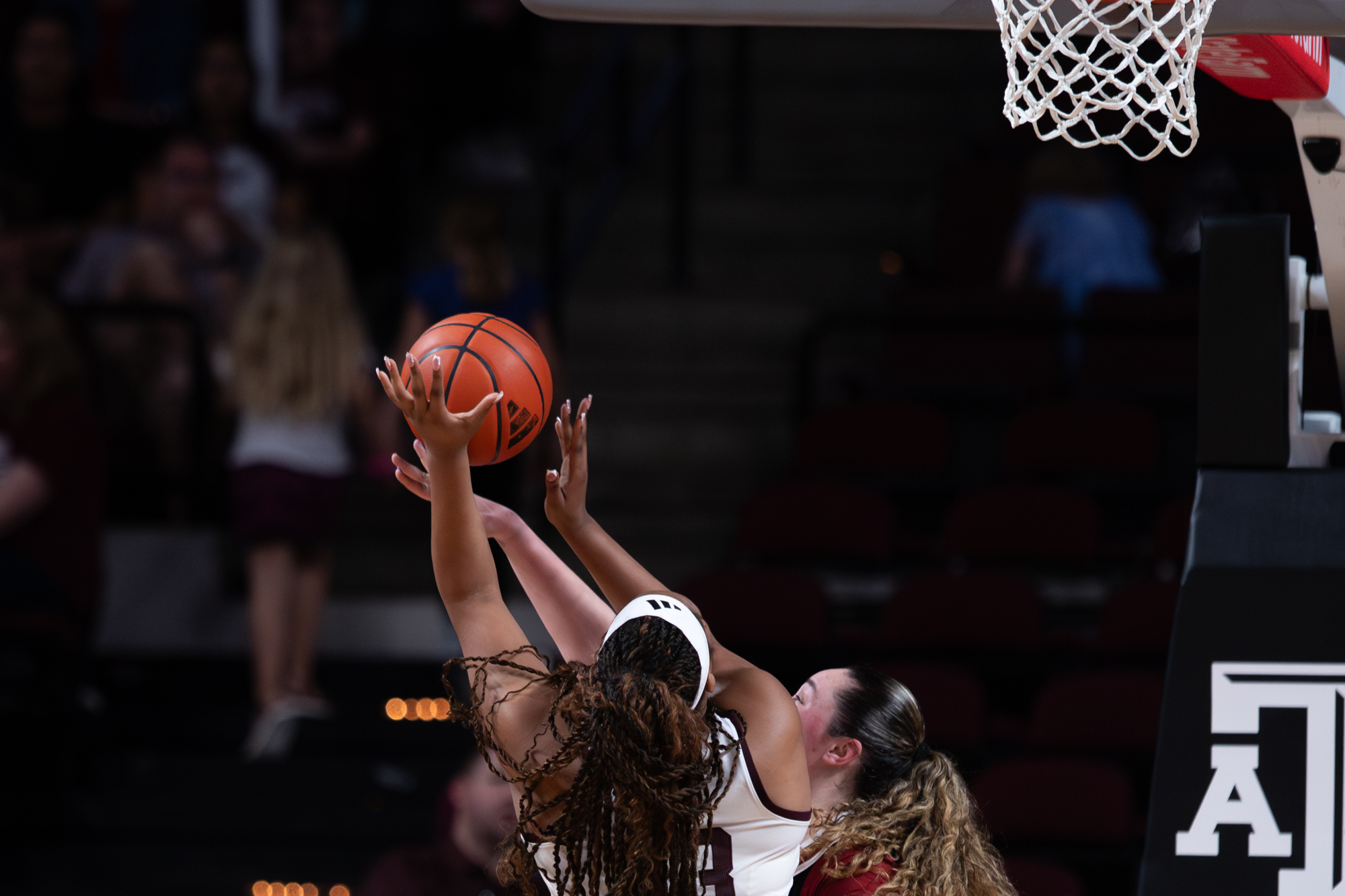 GALLERY: Women's Basketball vs. Arkansas