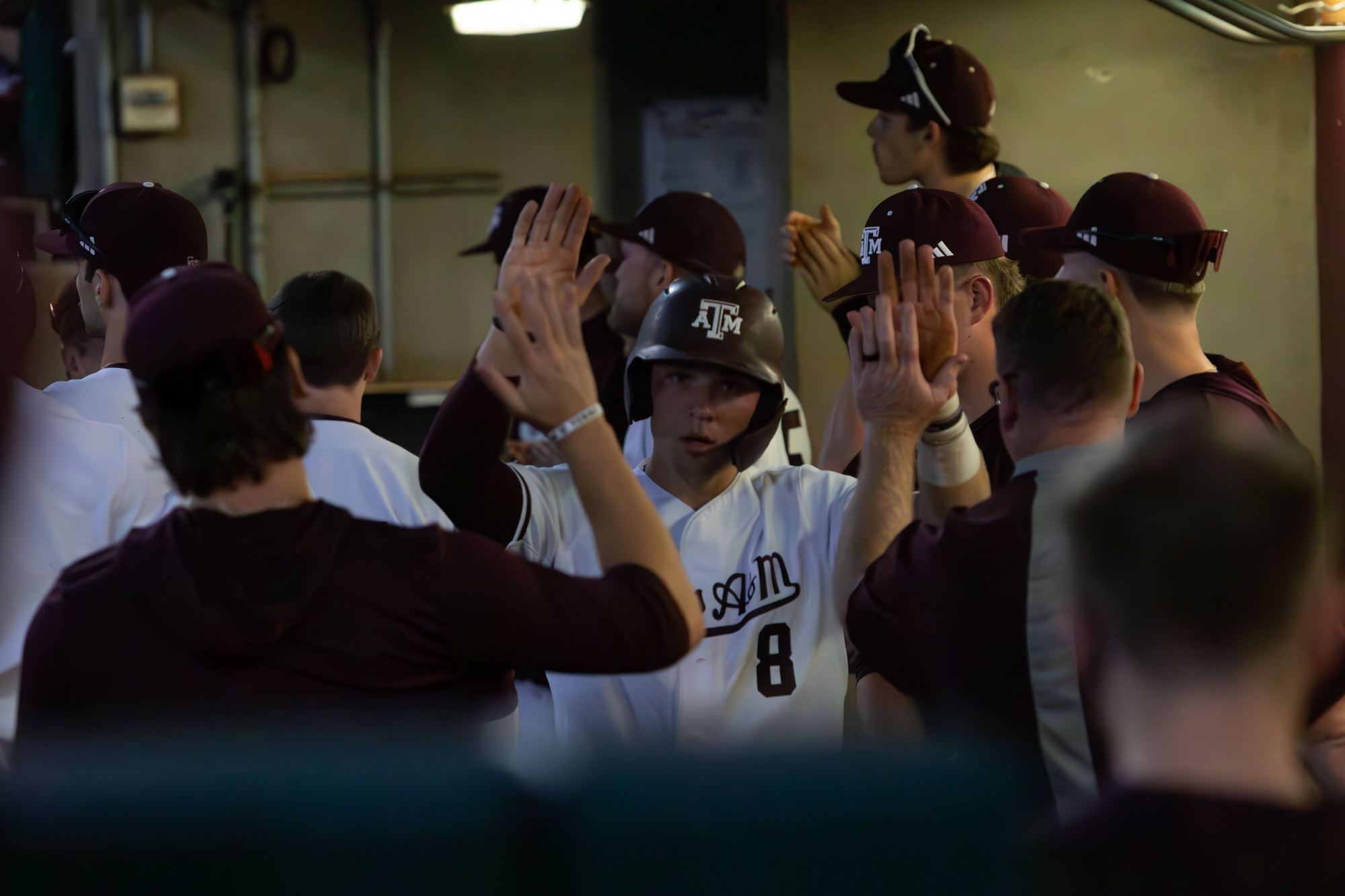 GALLERY: Baseball vs. A&M-Corpus Christi