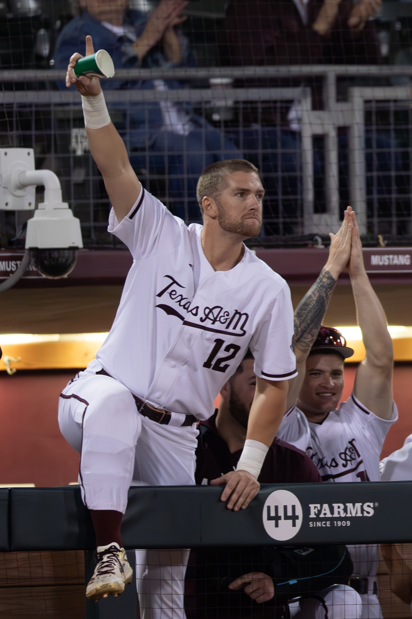 GALLERY: Baseball vs. A&M-Corpus Christi