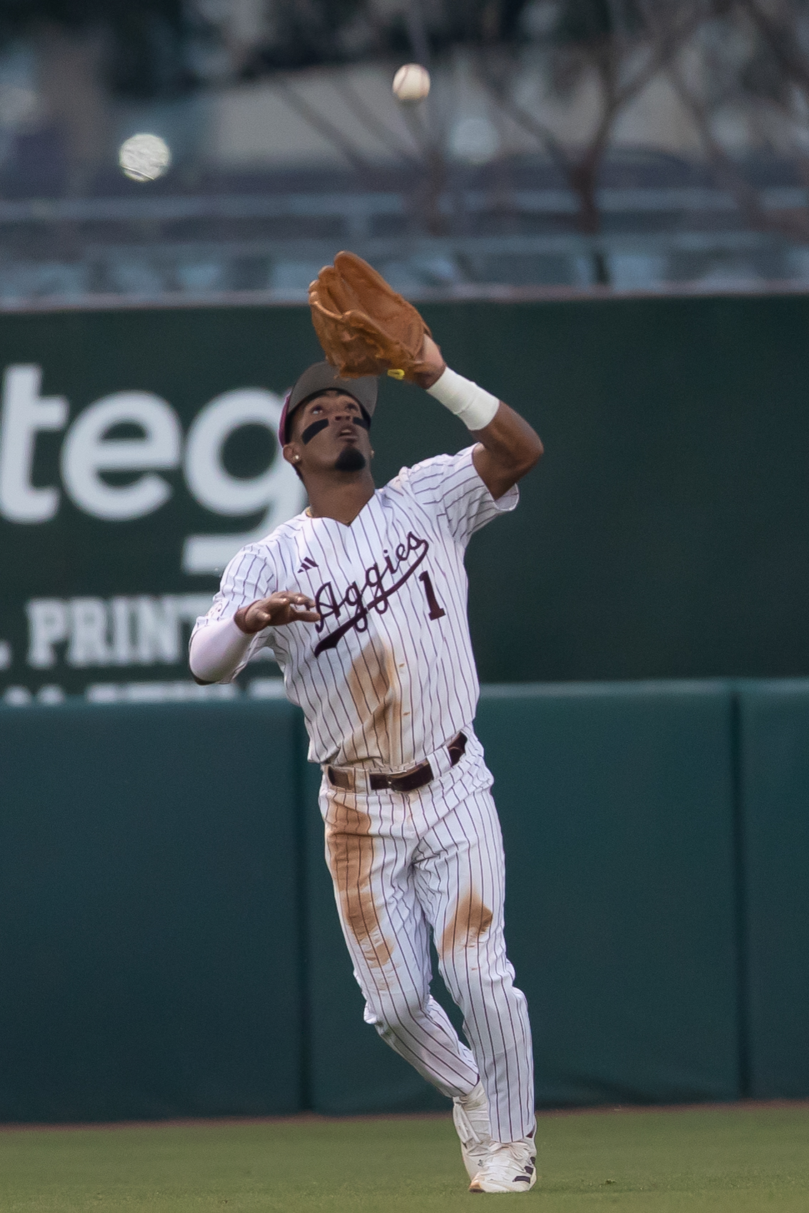 GALLERY: Baseball vs. Alabama