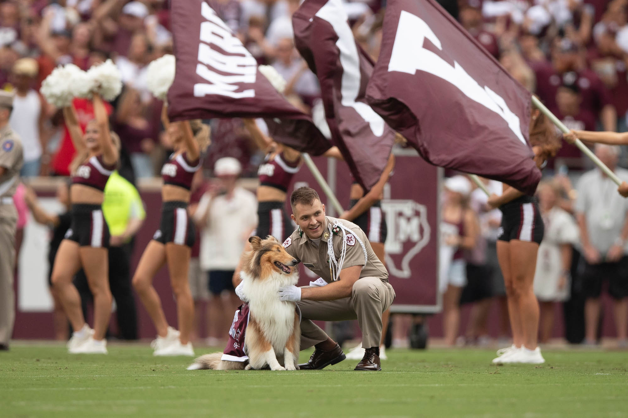 GALLERY: Football vs. UTSA