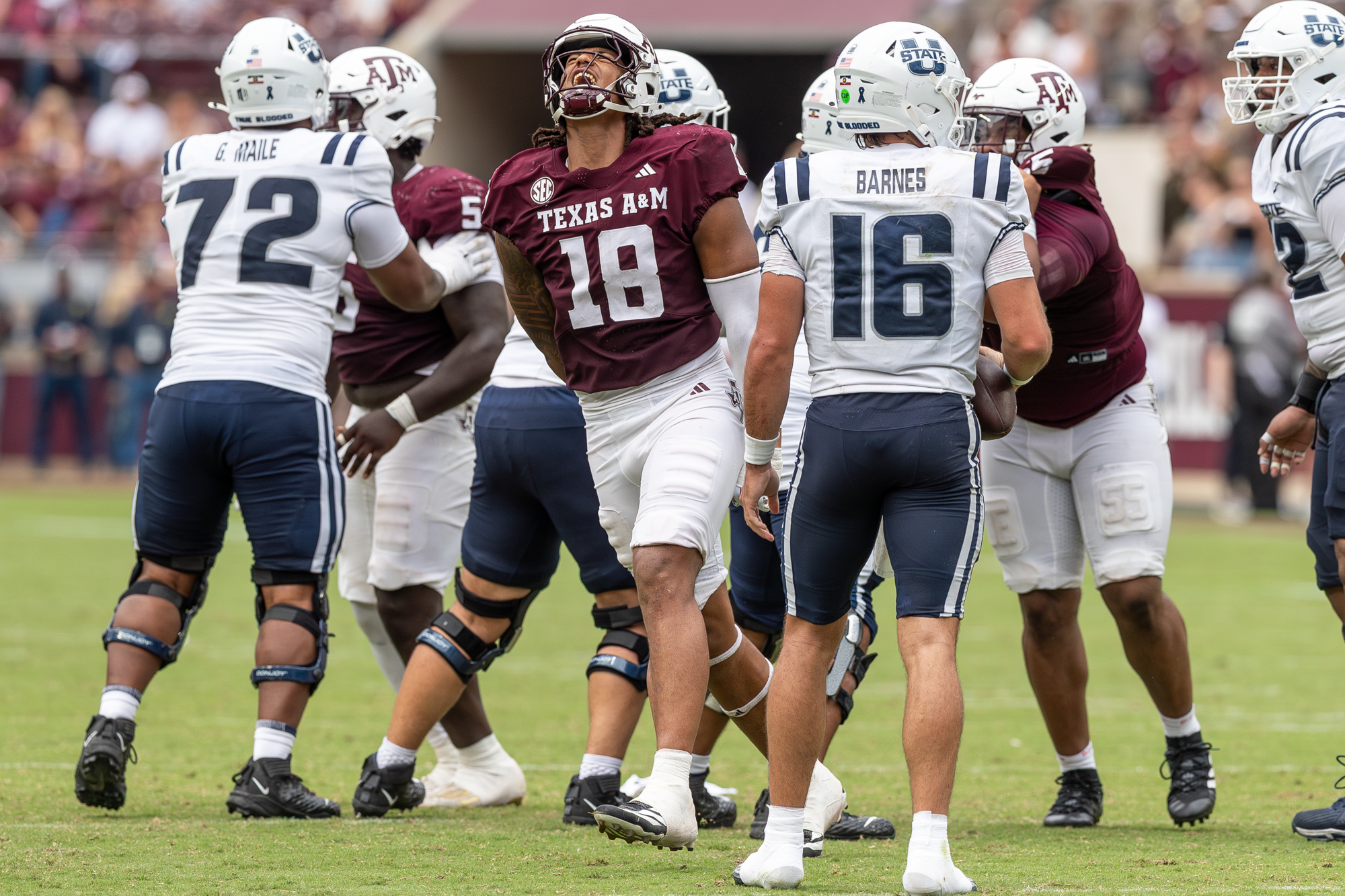 GALLERY: Football vs. Utah State