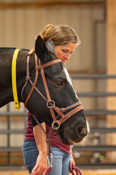 Horsefeature 4