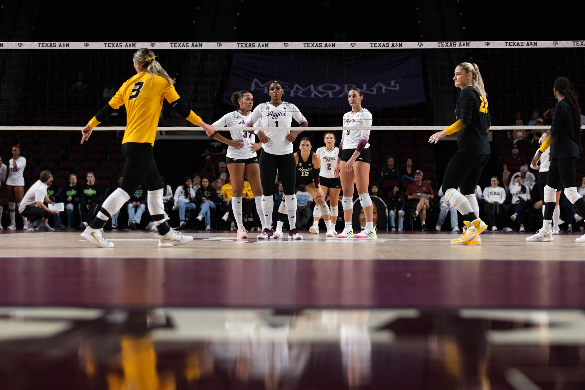 GALLERY: Volleyball vs. Missouri