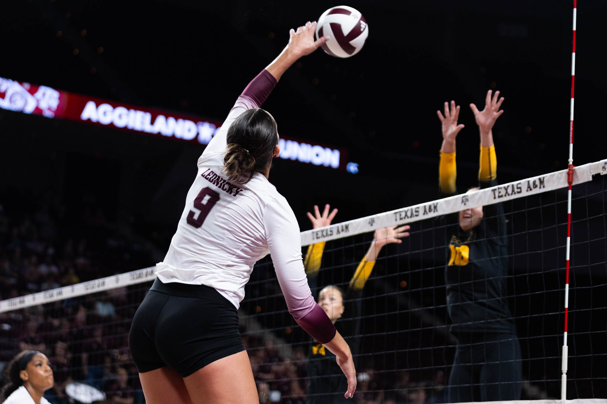 GALLERY: Volleyball vs. Missouri