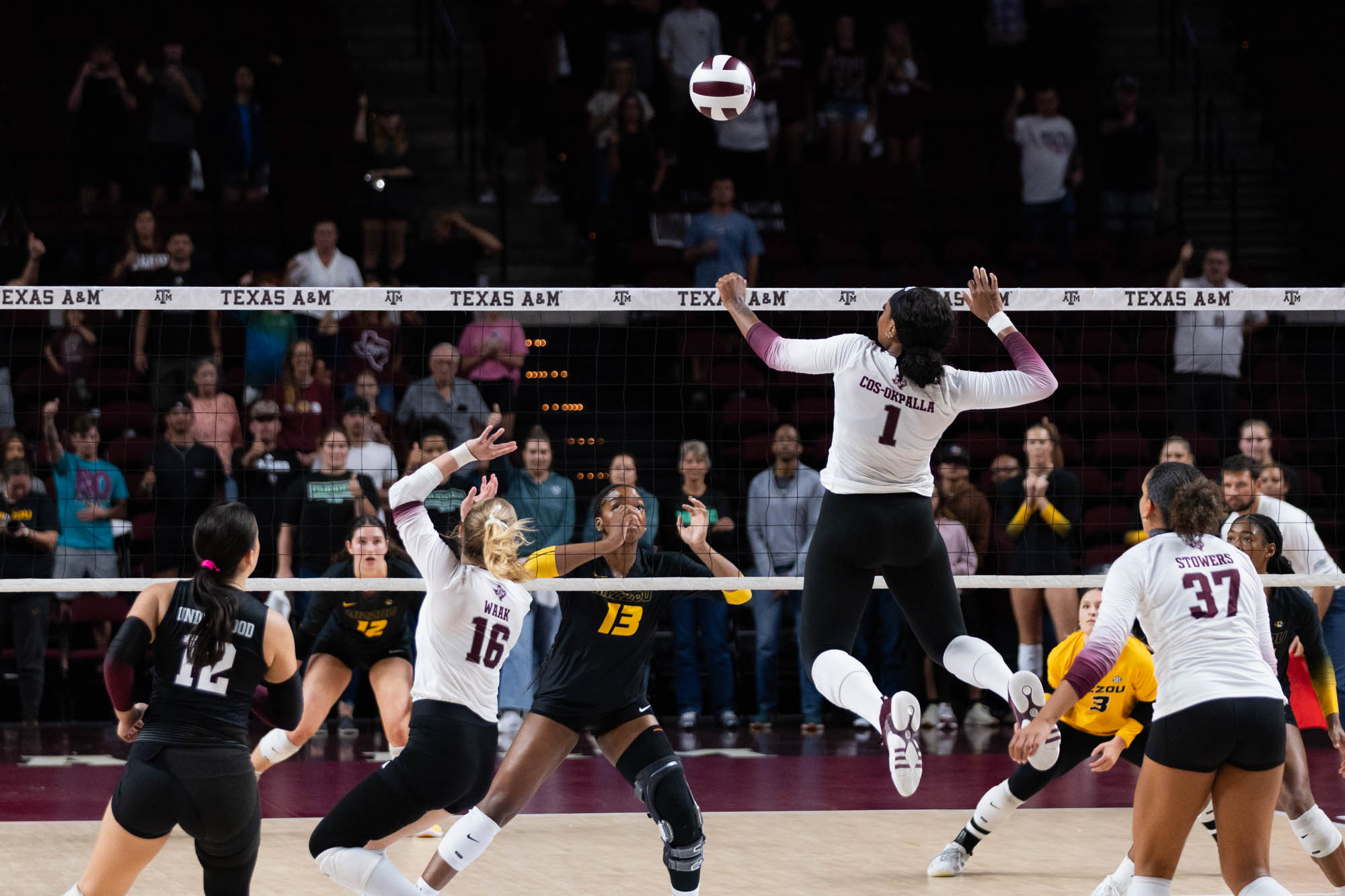 GALLERY: Volleyball vs. Missouri