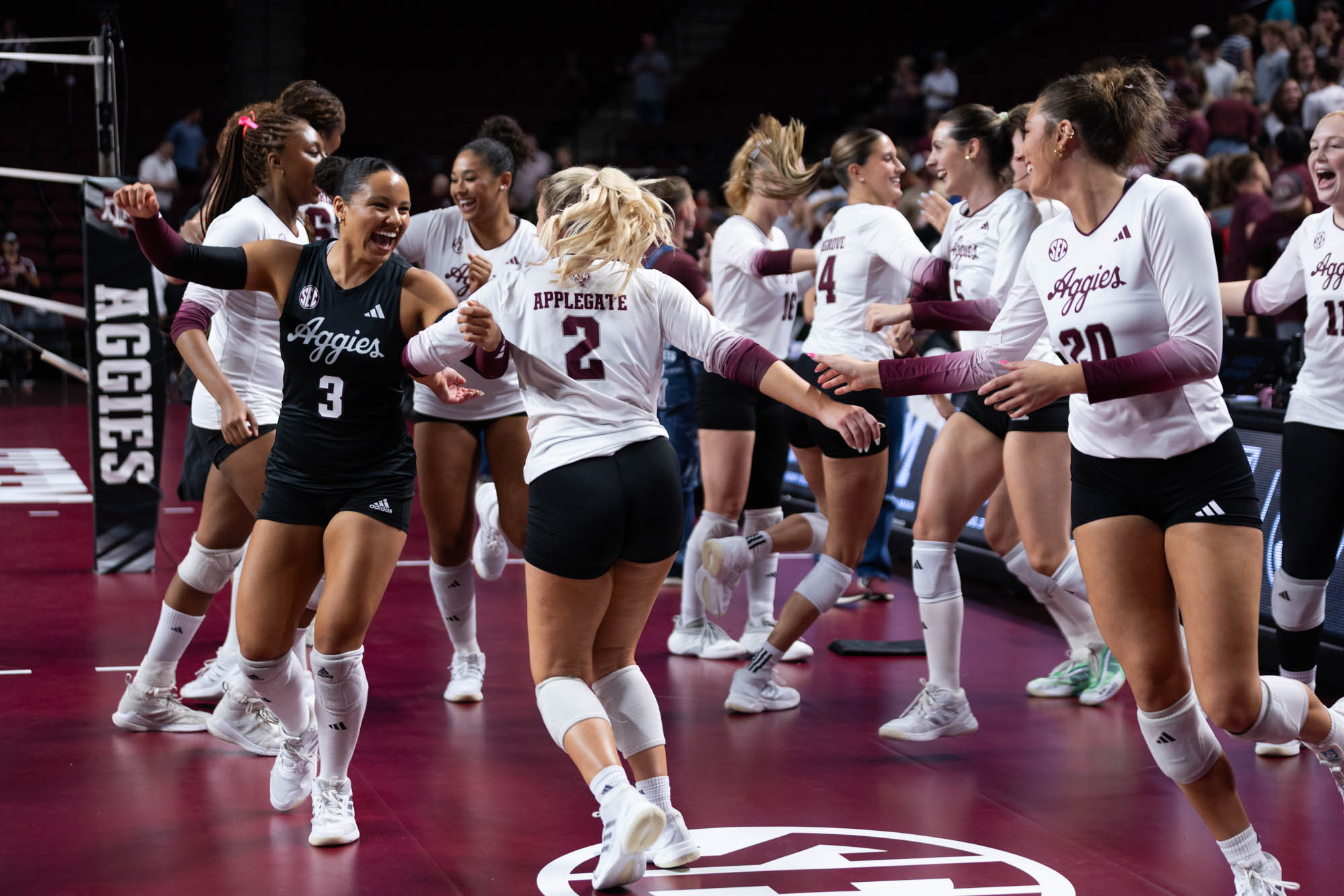 GALLERY: Volleyball vs. Missouri