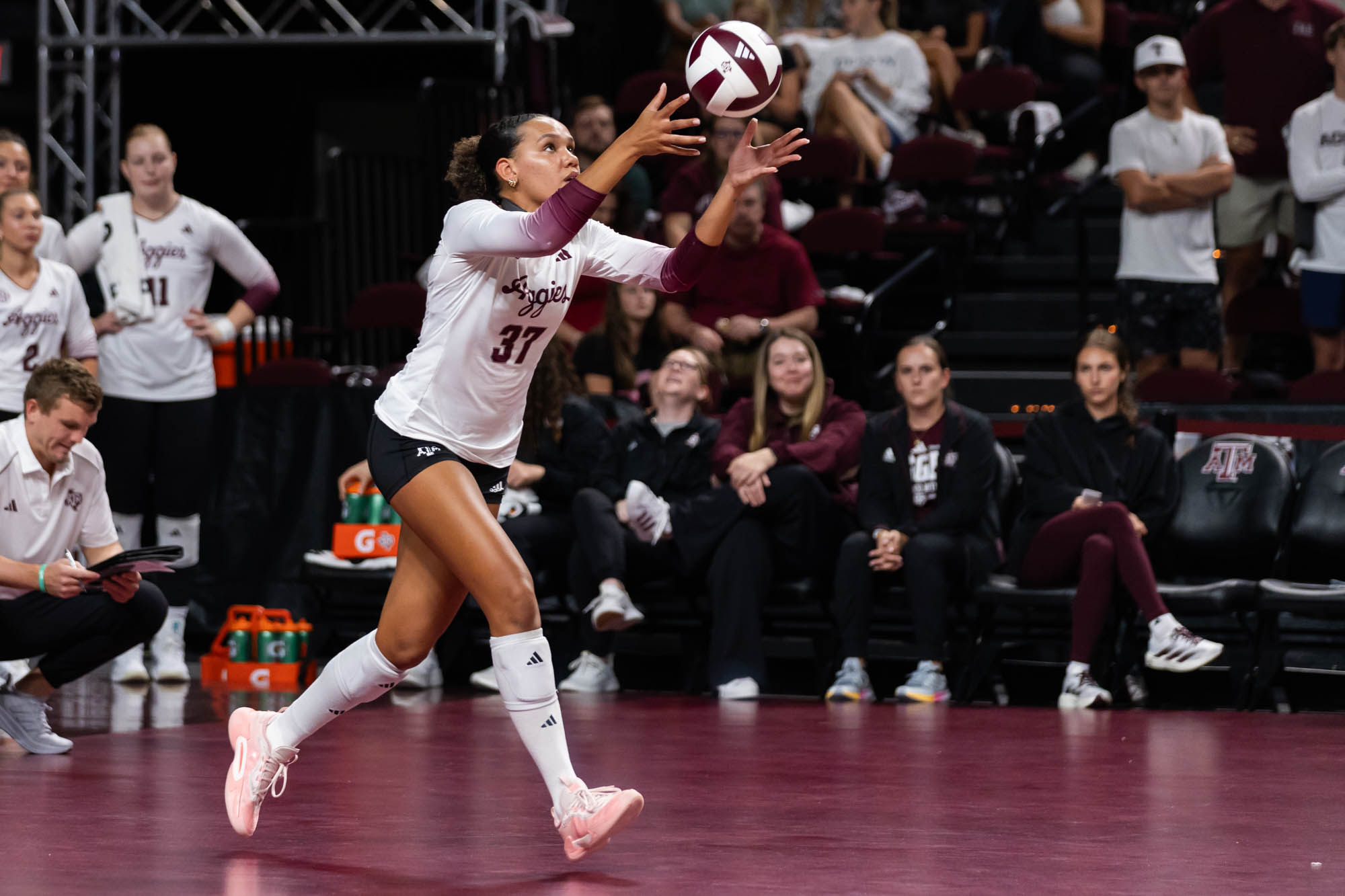 GALLERY: Volleyball vs. Missouri