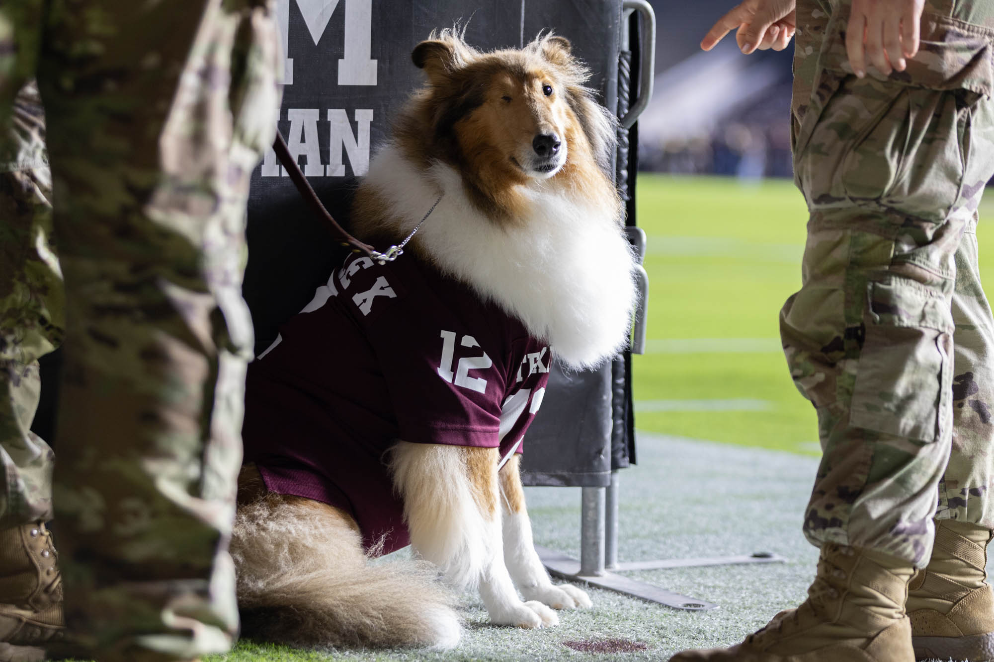 GALLERY: South Carolina Midnight Yell