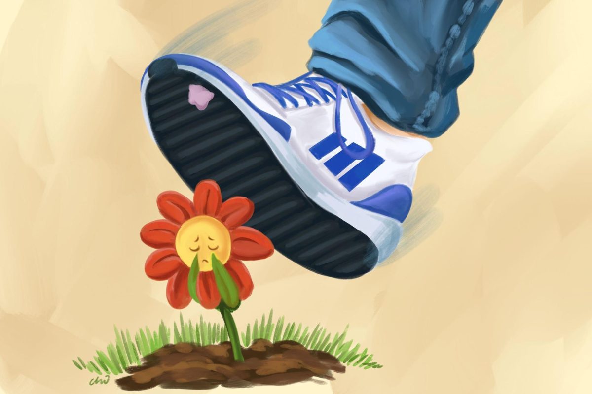 Image from iOS