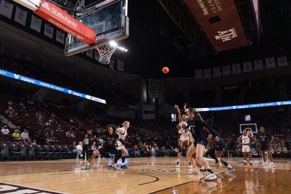 Womens Basketball vs. Tarleton State