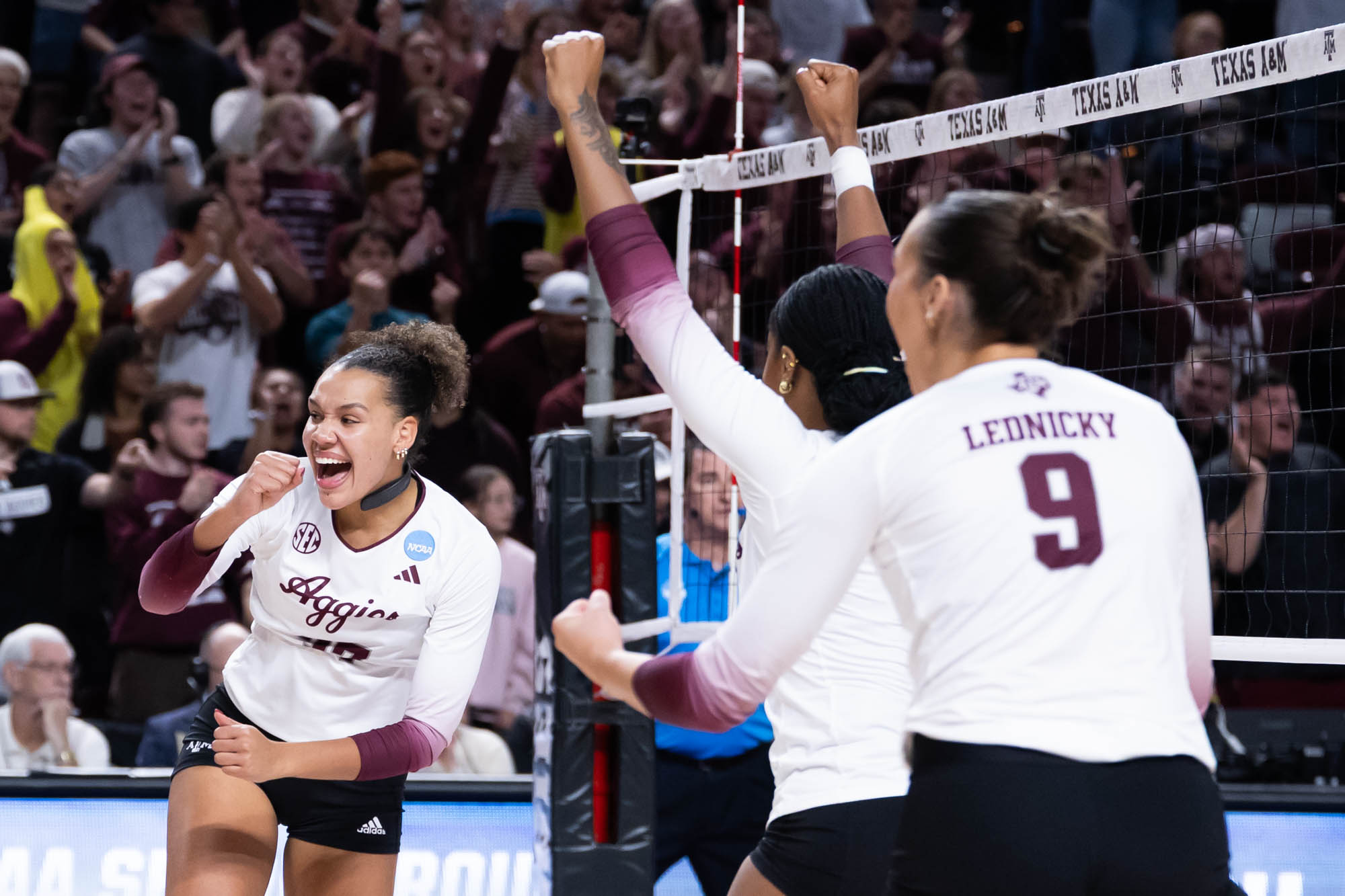 GALLERY: Volleyball vs. TCU