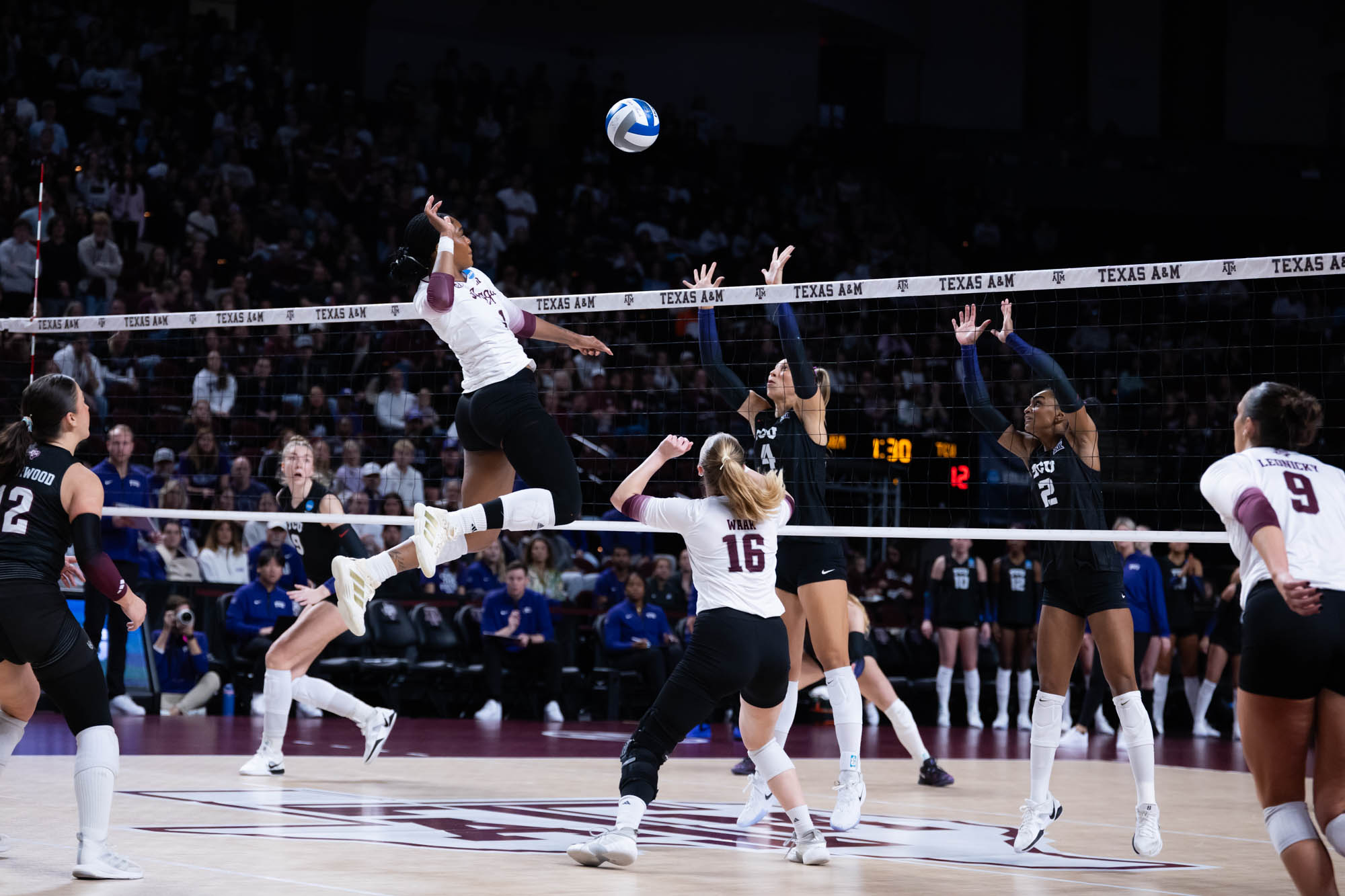 GALLERY: Volleyball vs. TCU