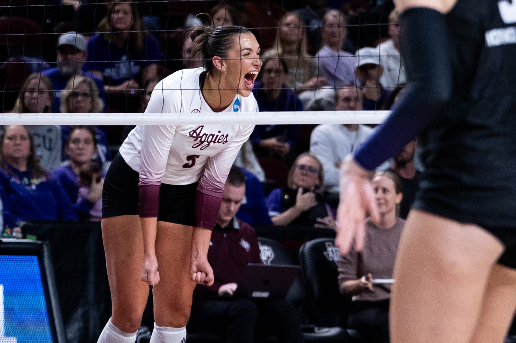 GALLERY: Volleyball vs. TCU