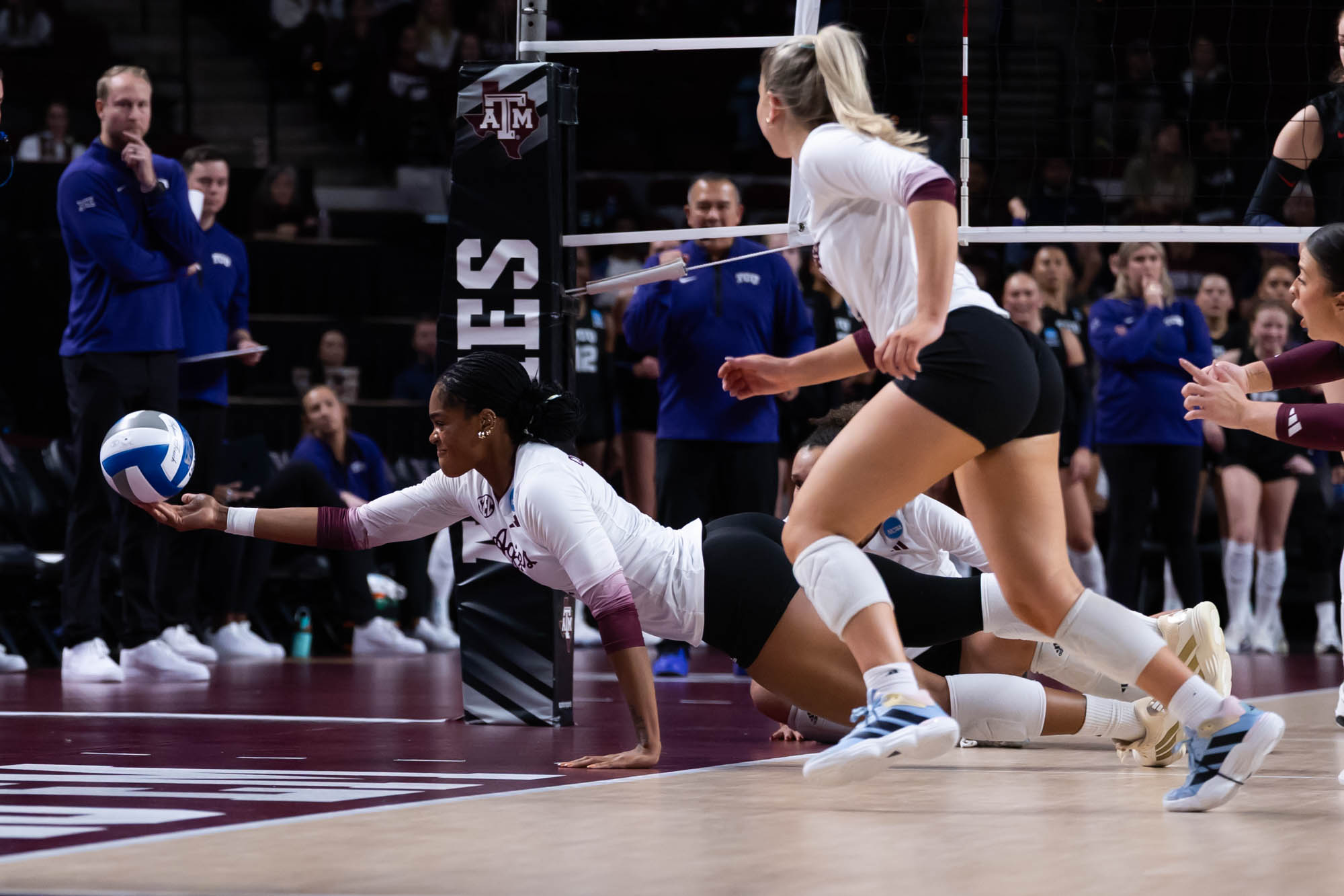 GALLERY: Volleyball vs. TCU