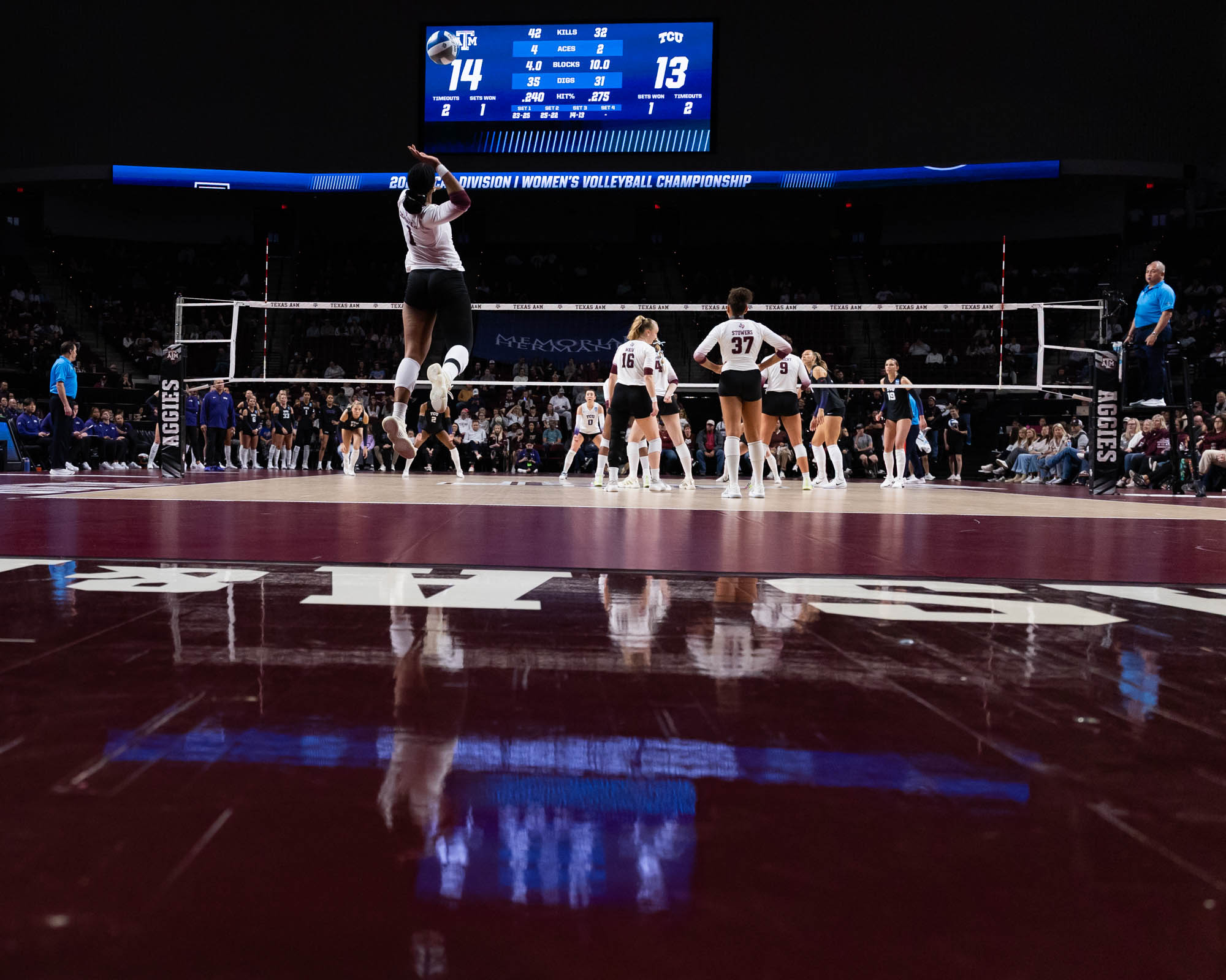 GALLERY: Volleyball vs. TCU