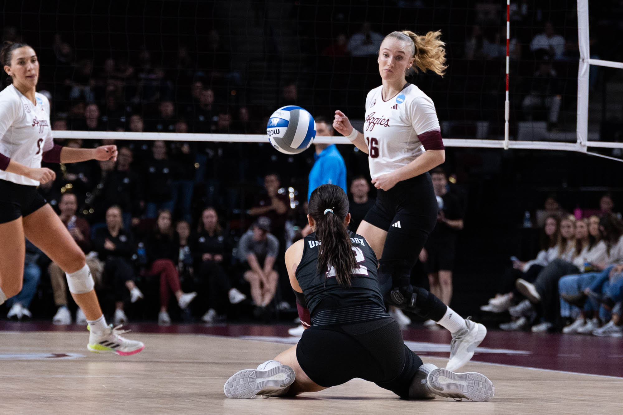 GALLERY: Volleyball vs. TCU
