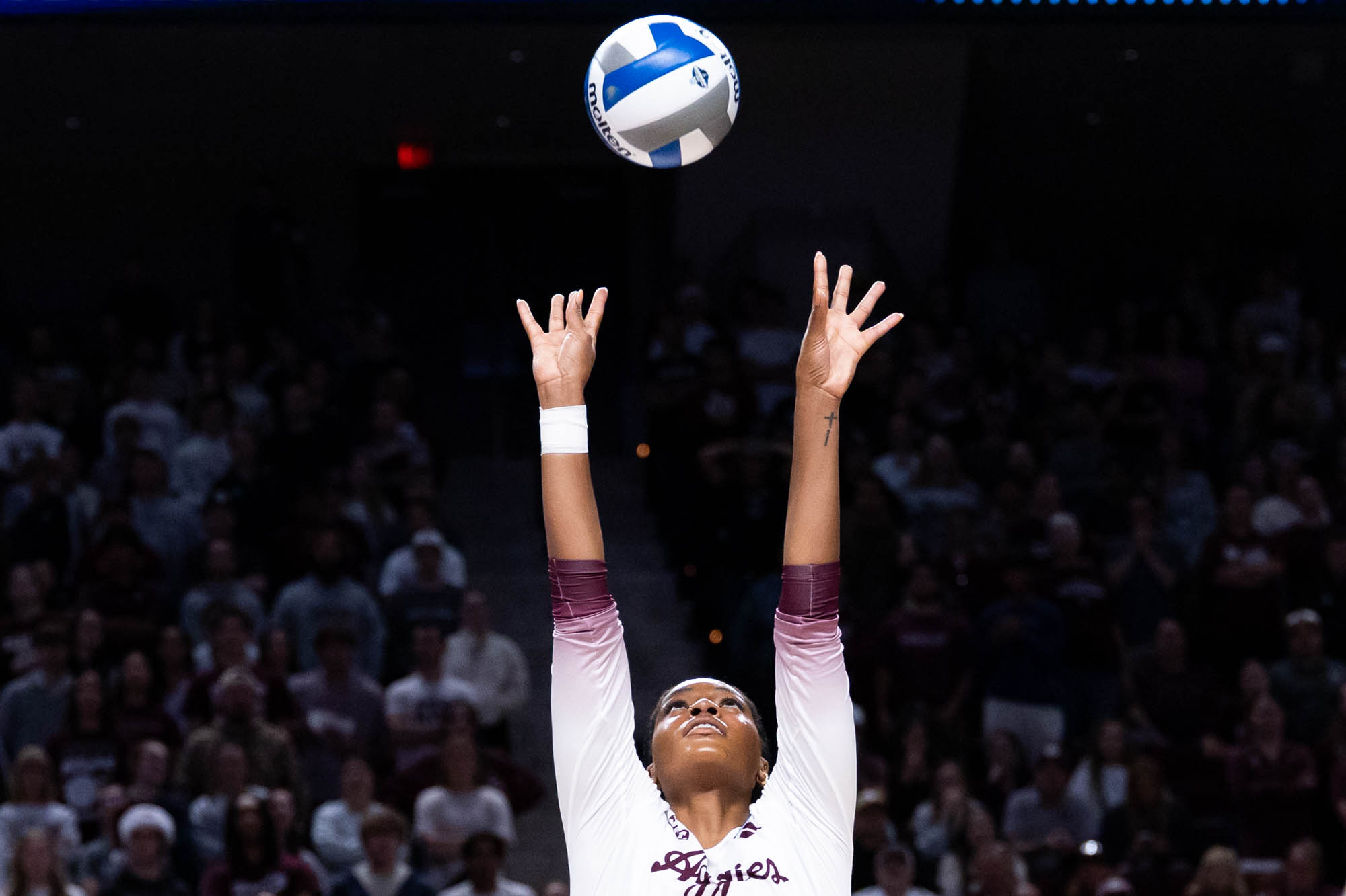 GALLERY: Volleyball vs. TCU