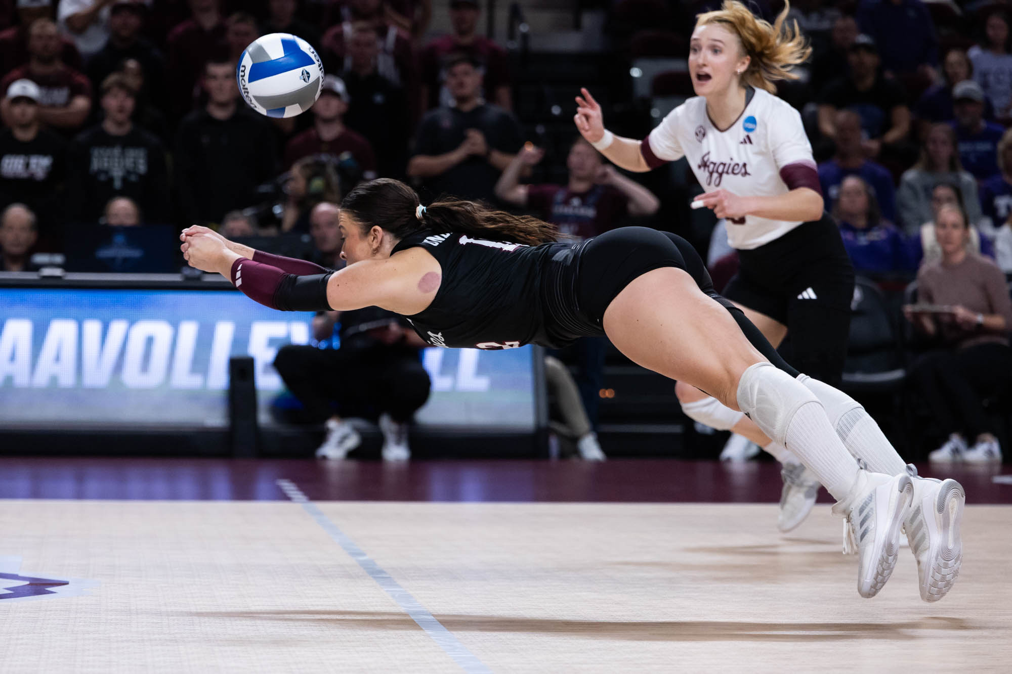 GALLERY: Volleyball vs. TCU