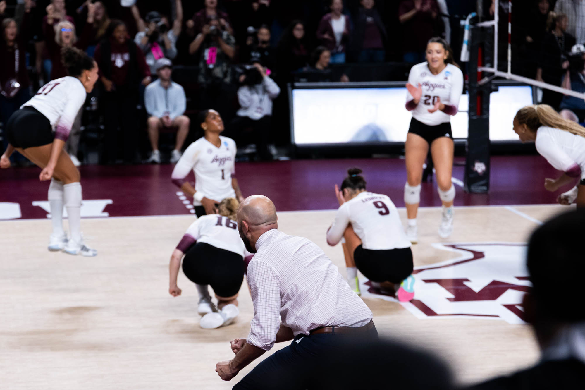 GALLERY: Volleyball vs. TCU