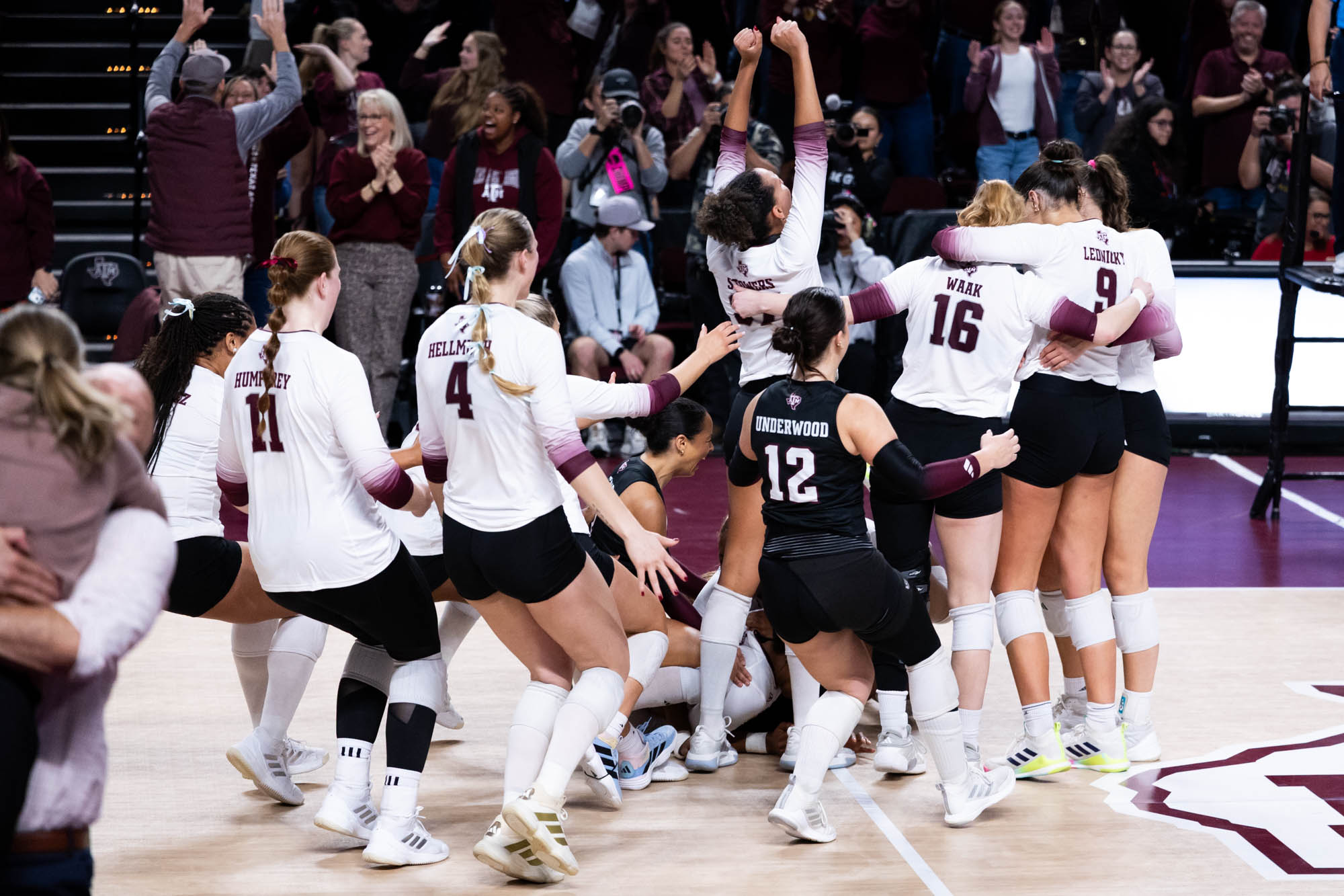 GALLERY: Volleyball vs. TCU
