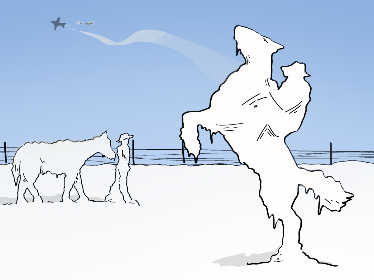 A Texan's guide to blizzards