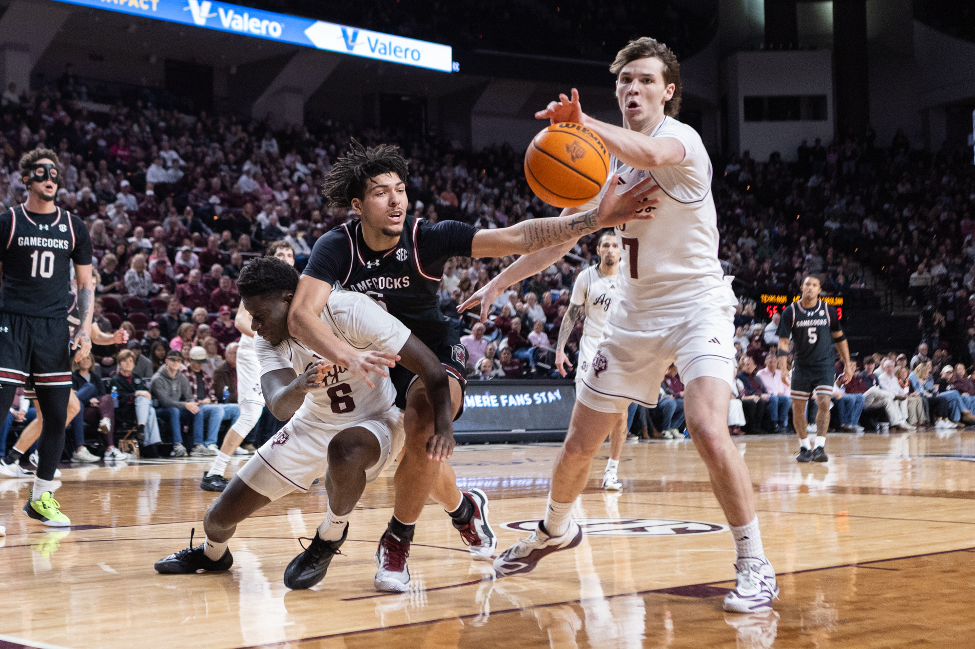 GALLERY: Men's Basketball vs. South Carolina