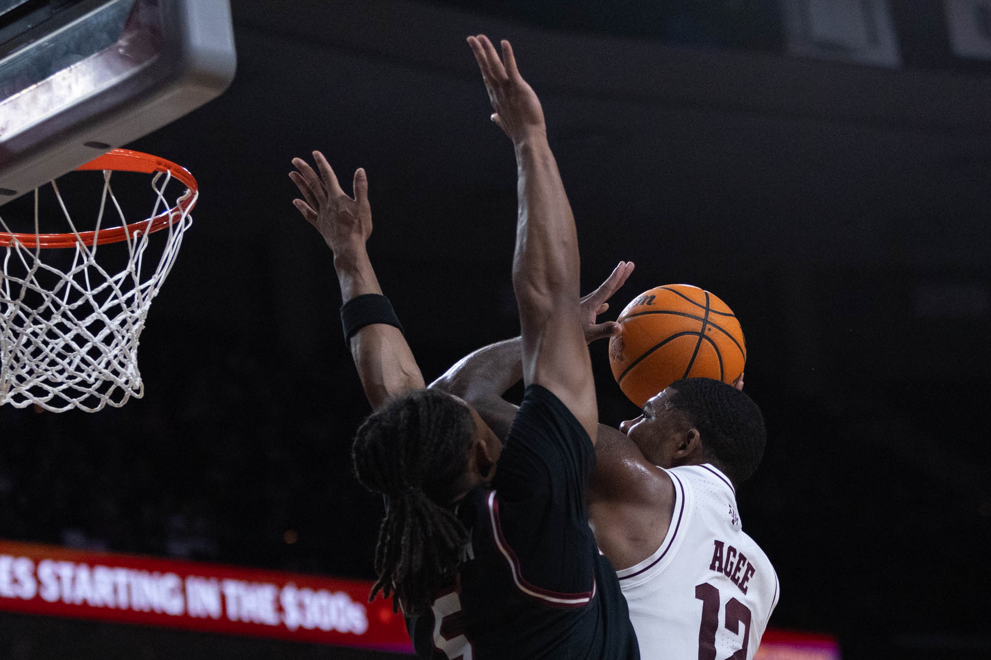 GALLERY: Men's Basketball vs. South Carolina