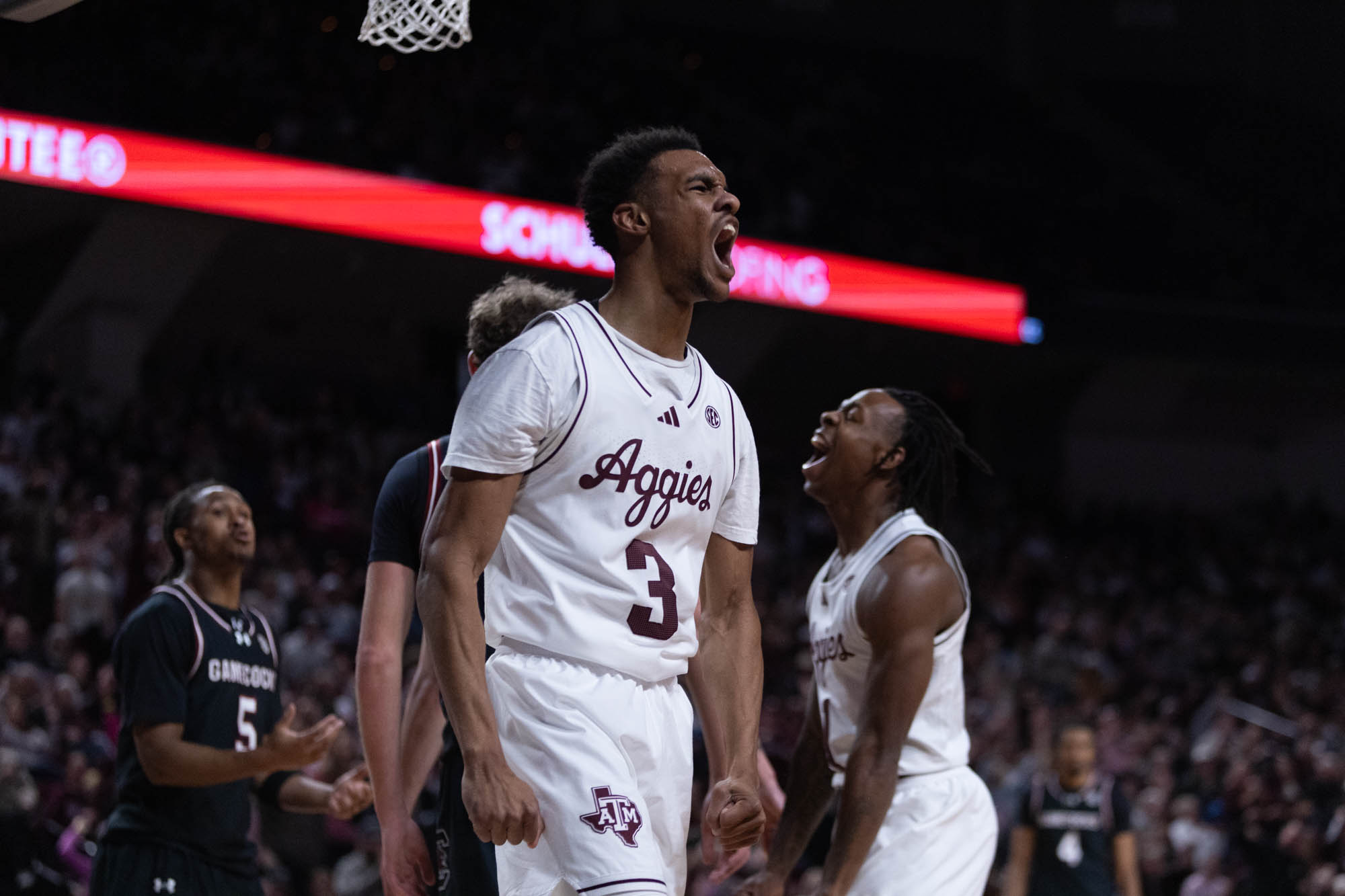 GALLERY: Men's Basketball vs. South Carolina