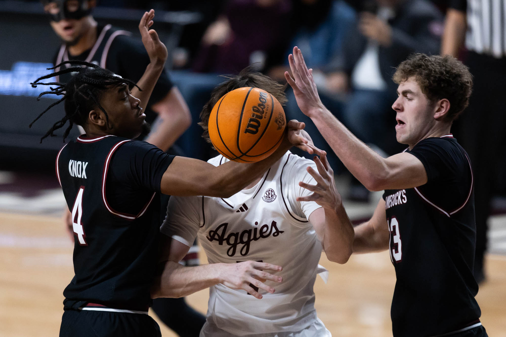 GALLERY: Men's Basketball vs. South Carolina
