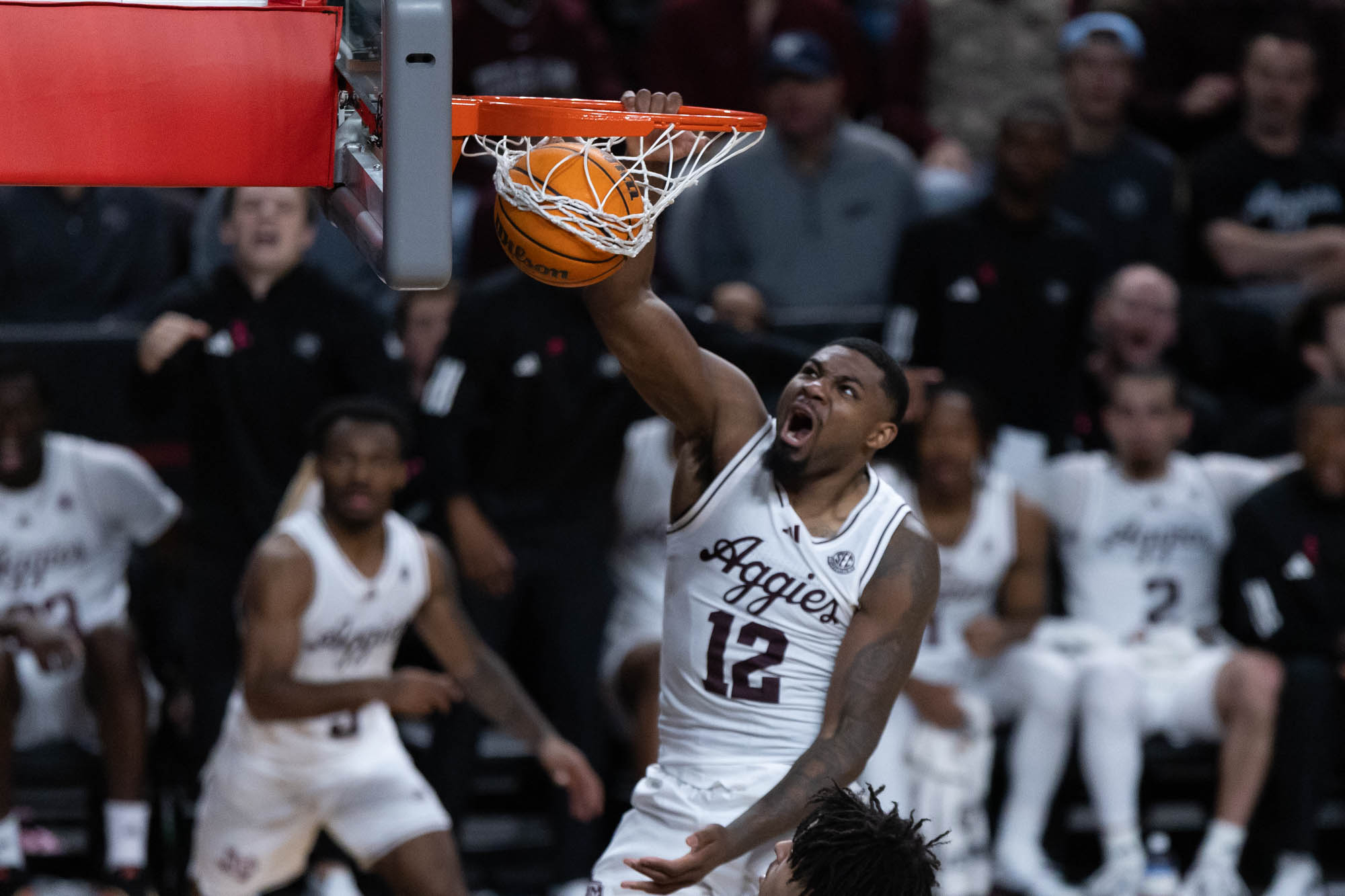 GALLERY: Men's Basketball vs. South Carolina