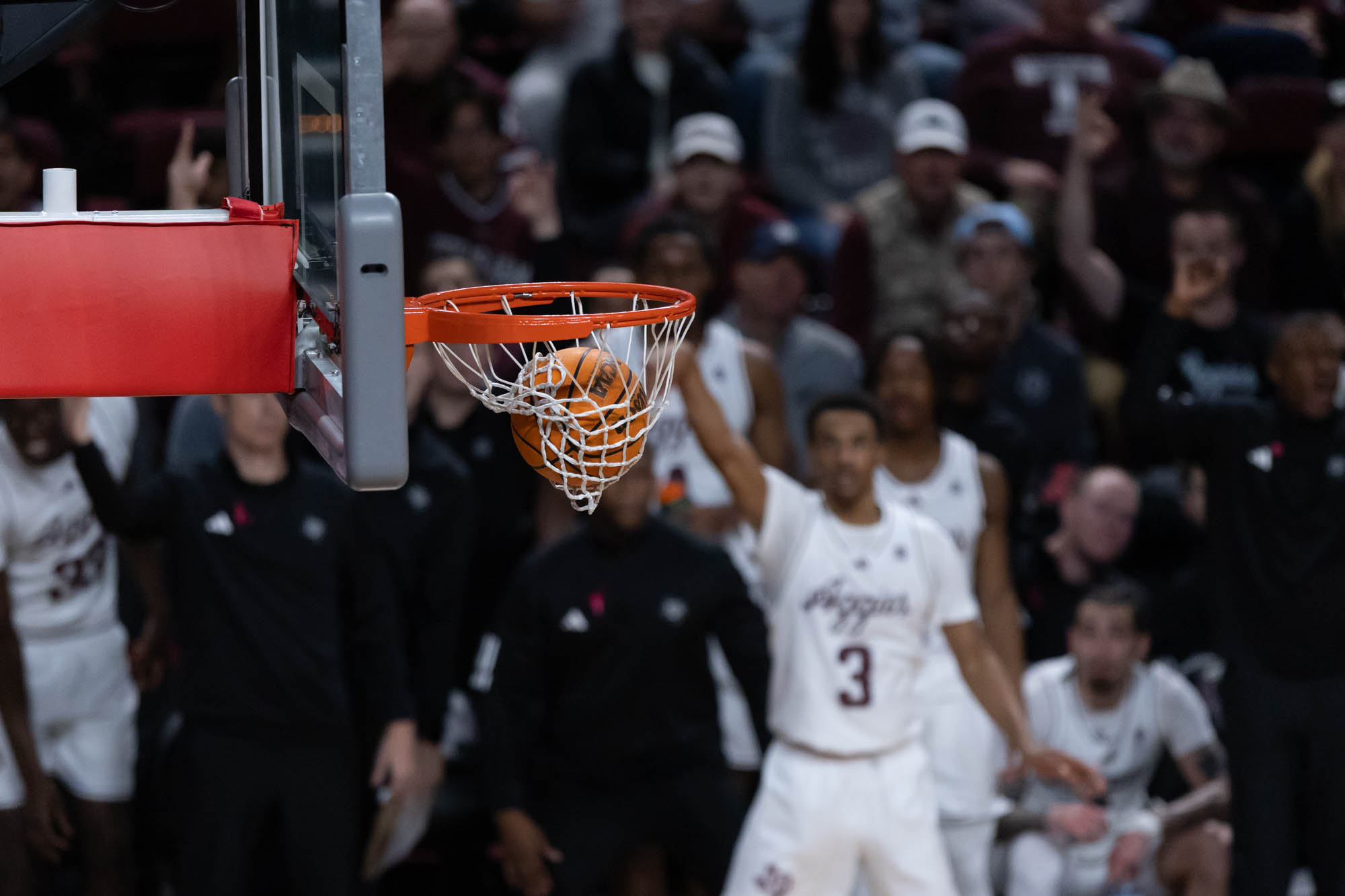 GALLERY: Men's Basketball vs. South Carolina