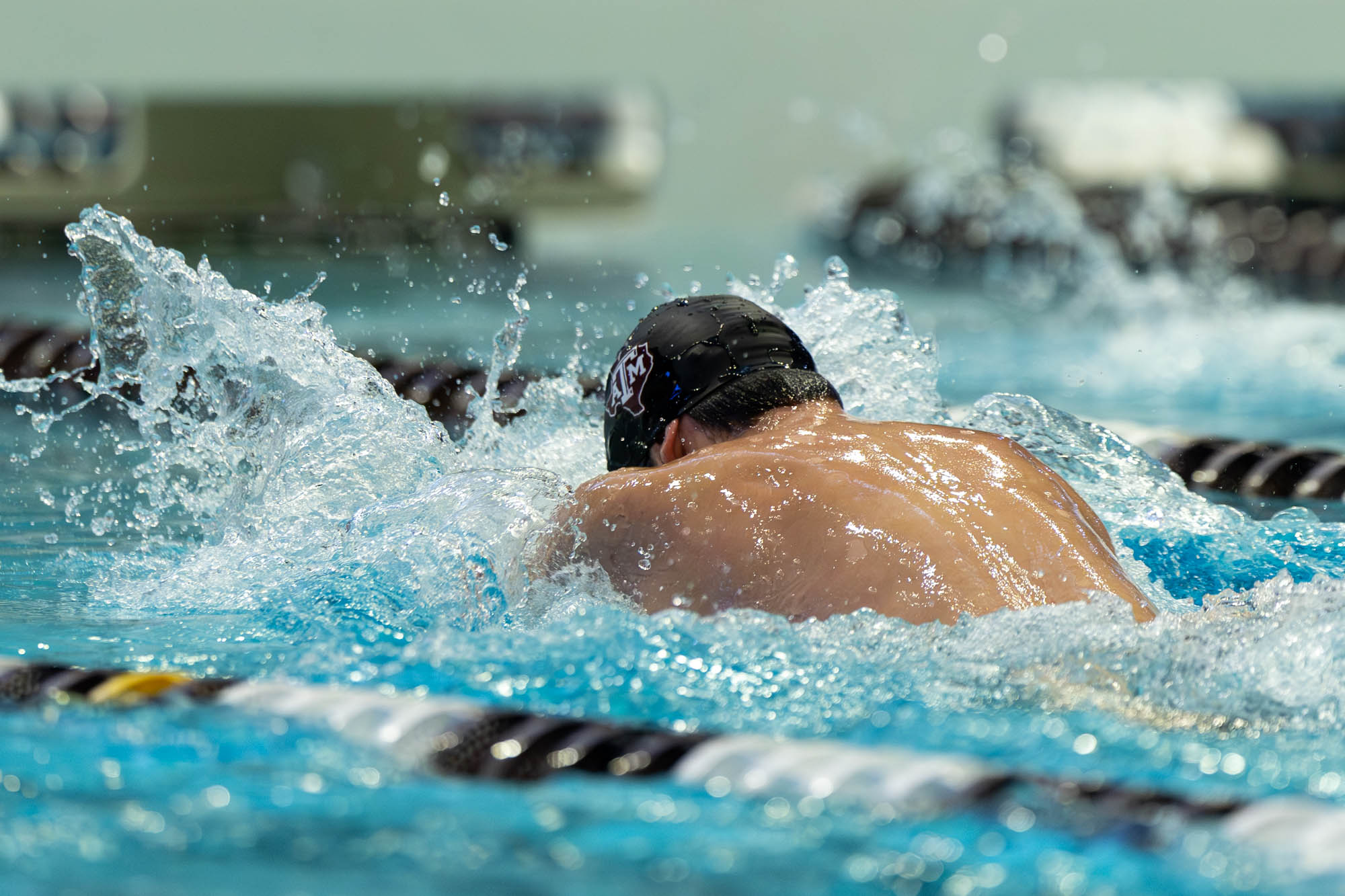 GALLERY: Swim & Dive vs. Texas