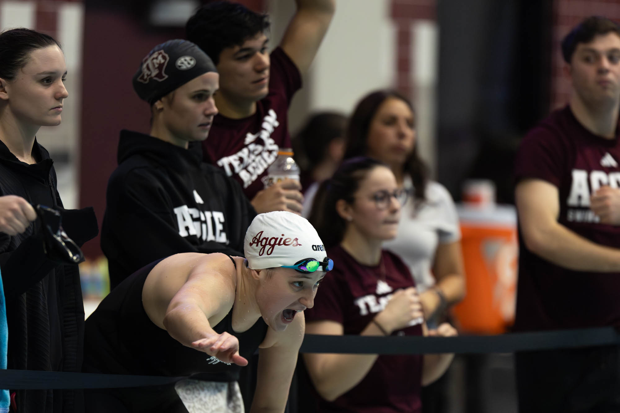 GALLERY: Swim & Dive vs. Texas
