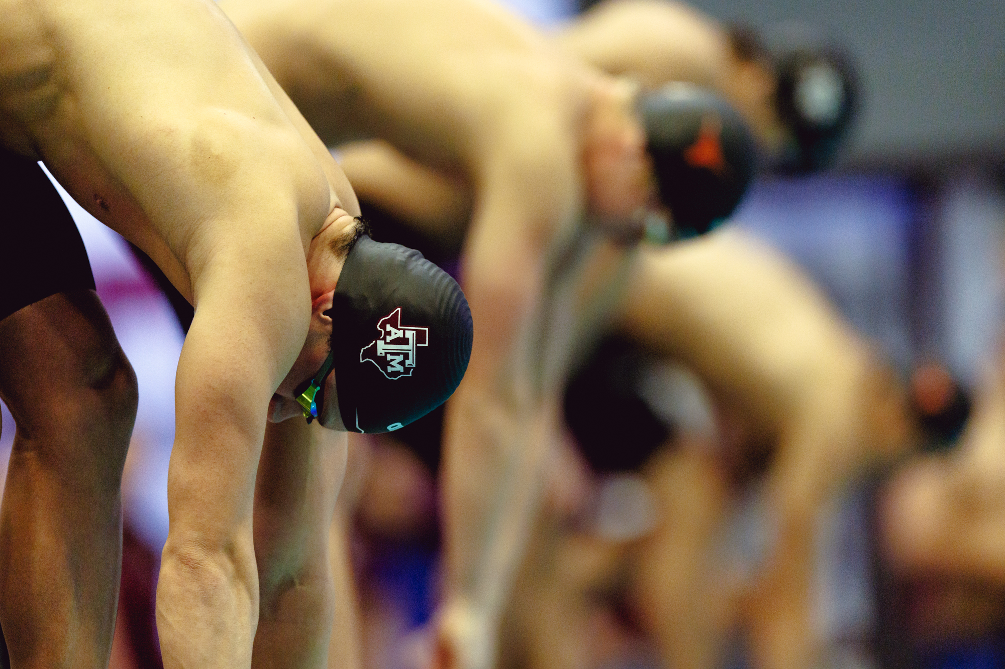 GALLERY: Swim & Dive vs. Texas