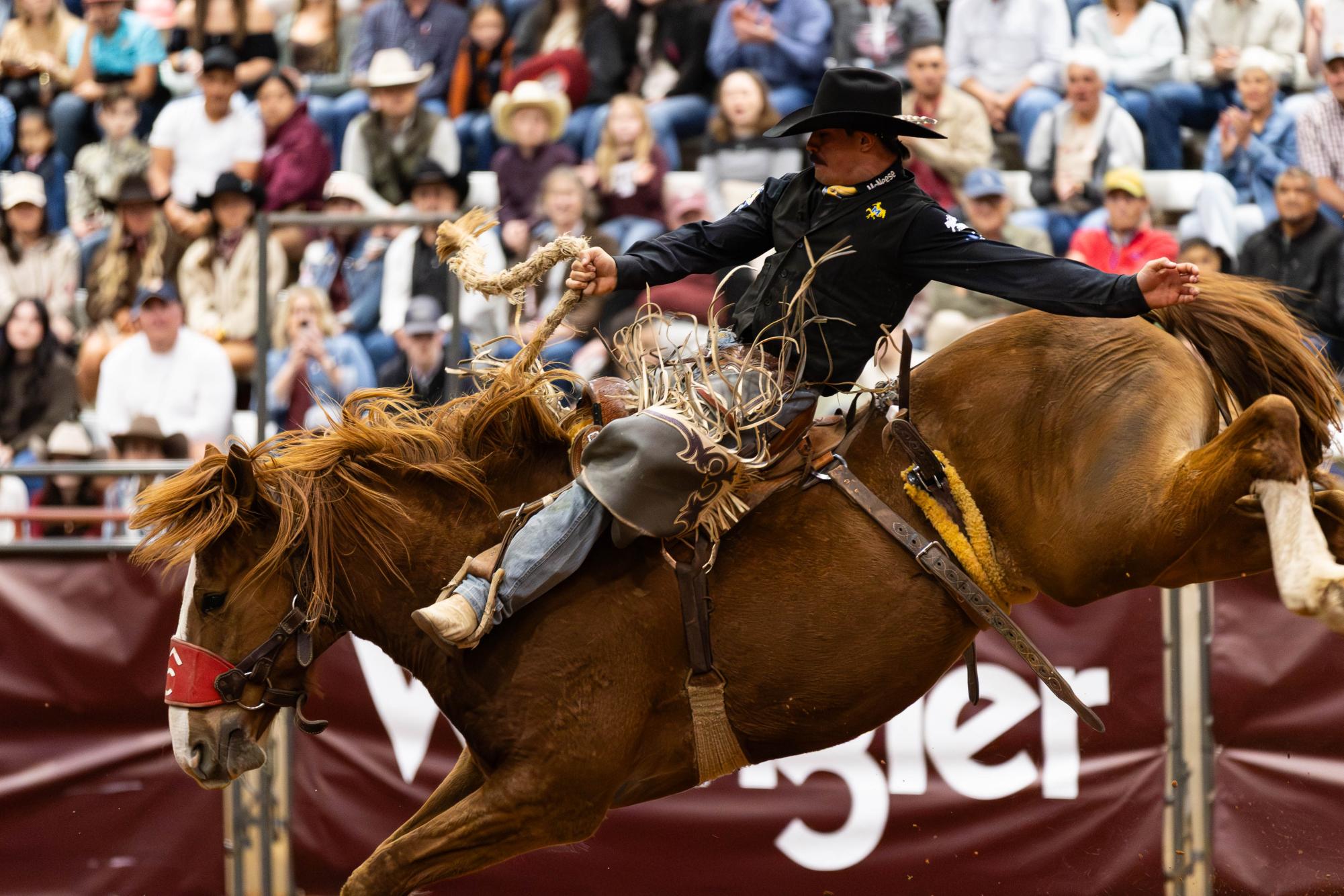 GALLERY: Texas Aggie Rodeo