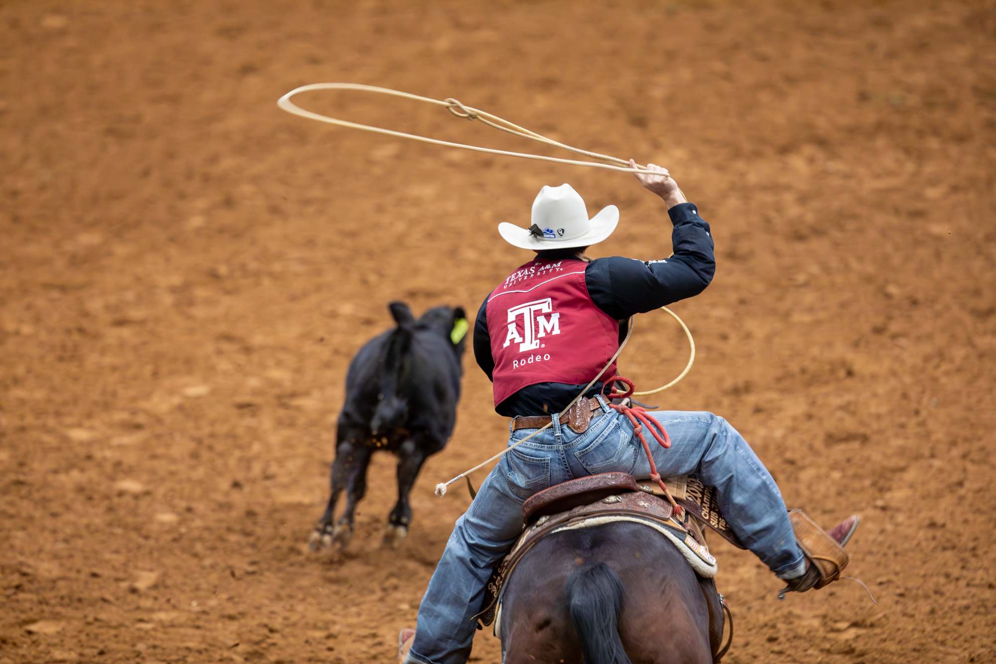 GALLERY: Texas Aggie Rodeo
