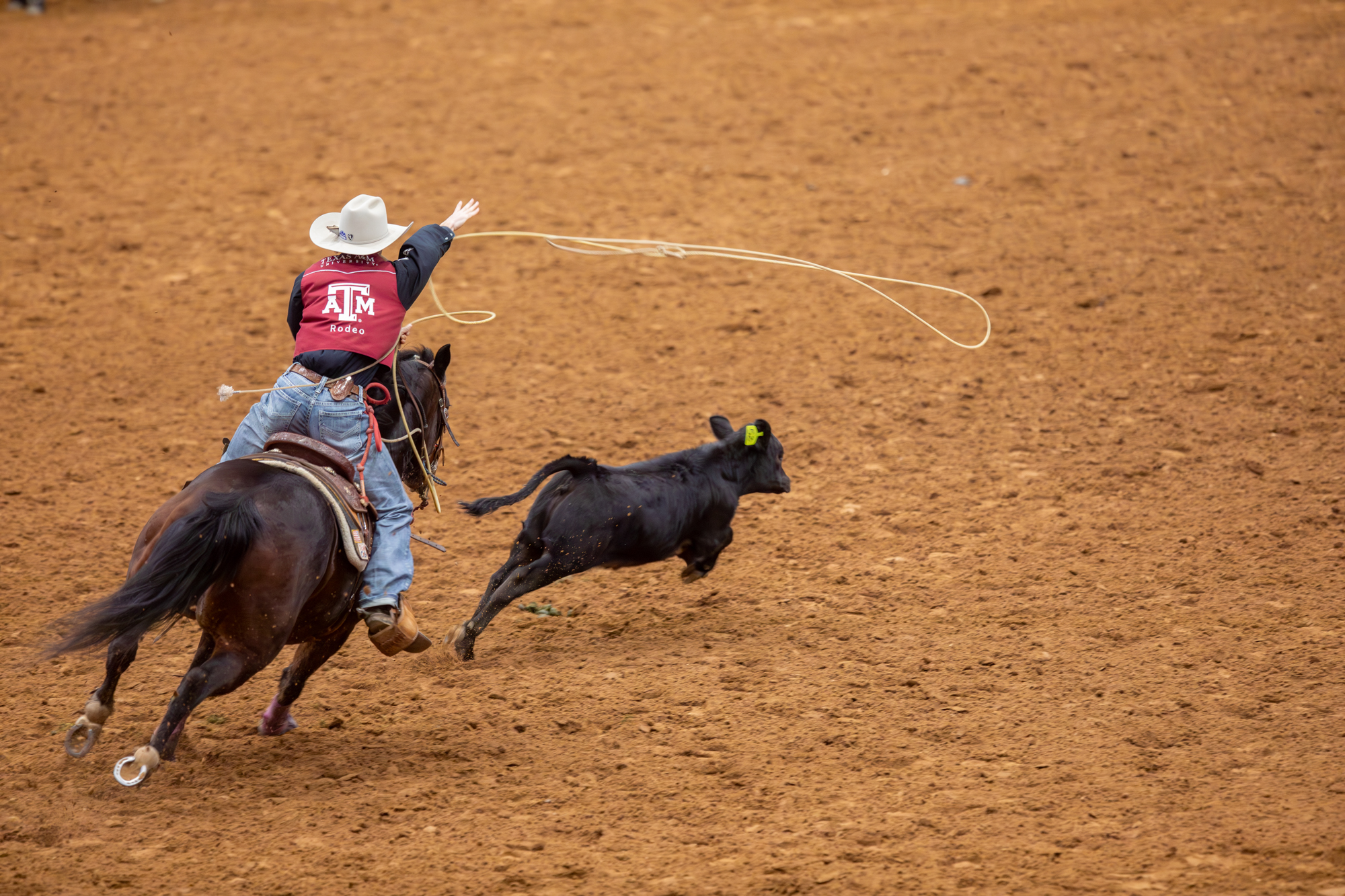 GALLERY: Texas Aggie Rodeo