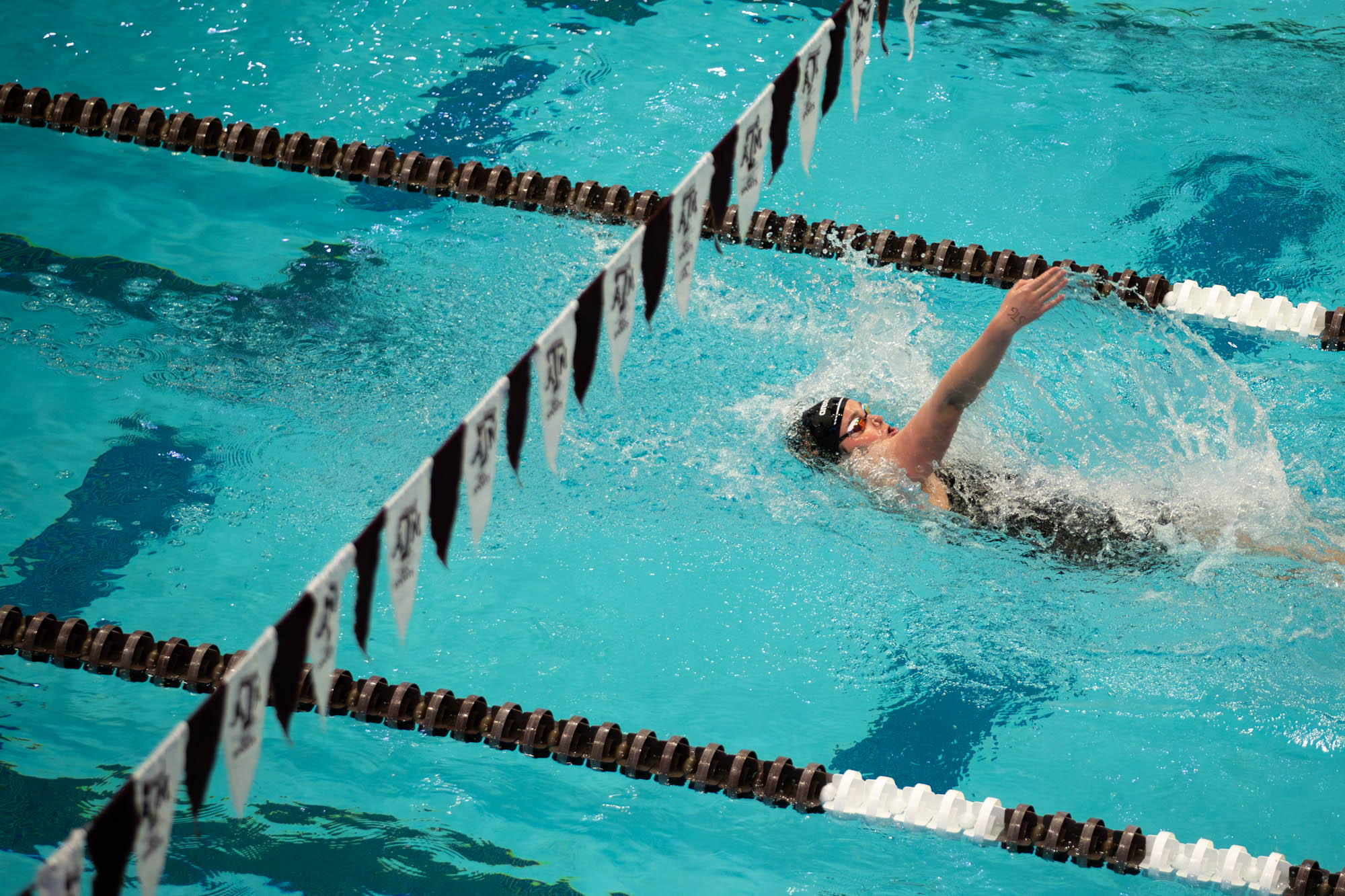 GALLERY: Swim & Dive vs. Texas