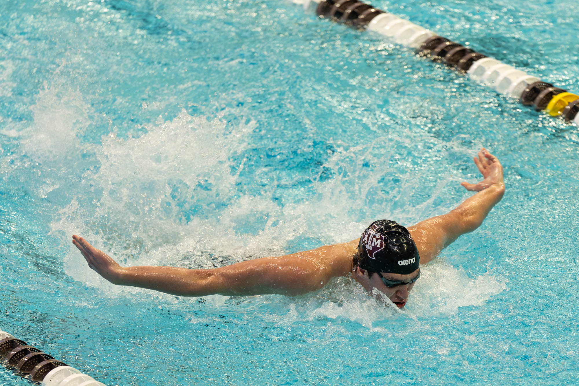GALLERY: Swim & Dive vs. Texas
