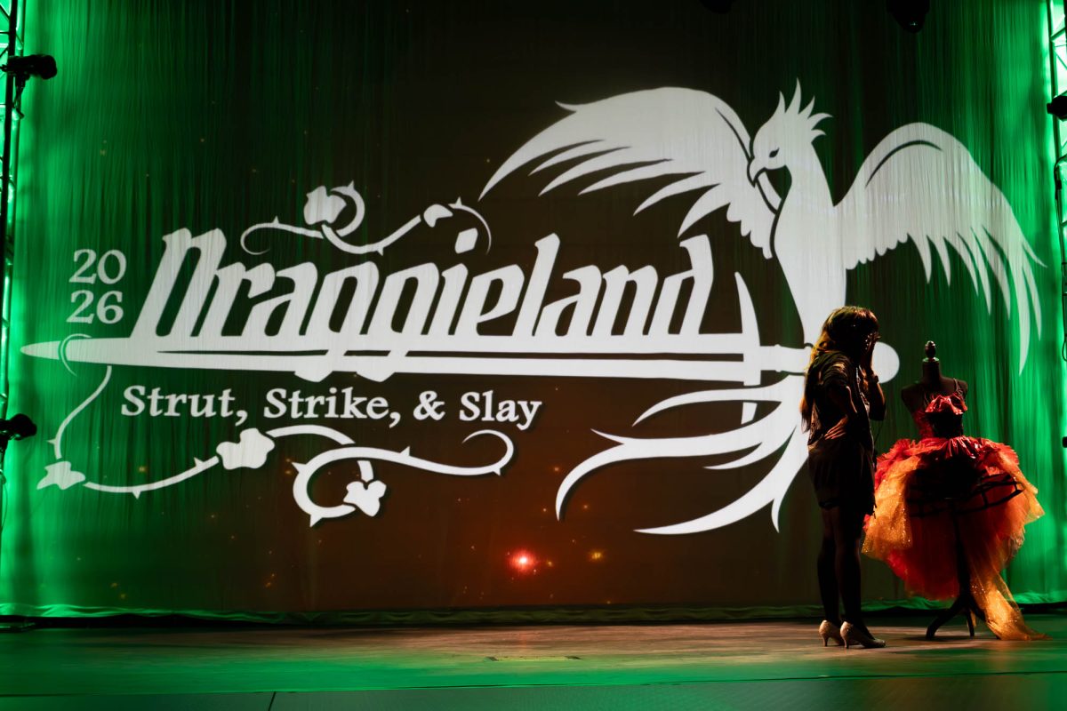 Draggieland Behind the Scene