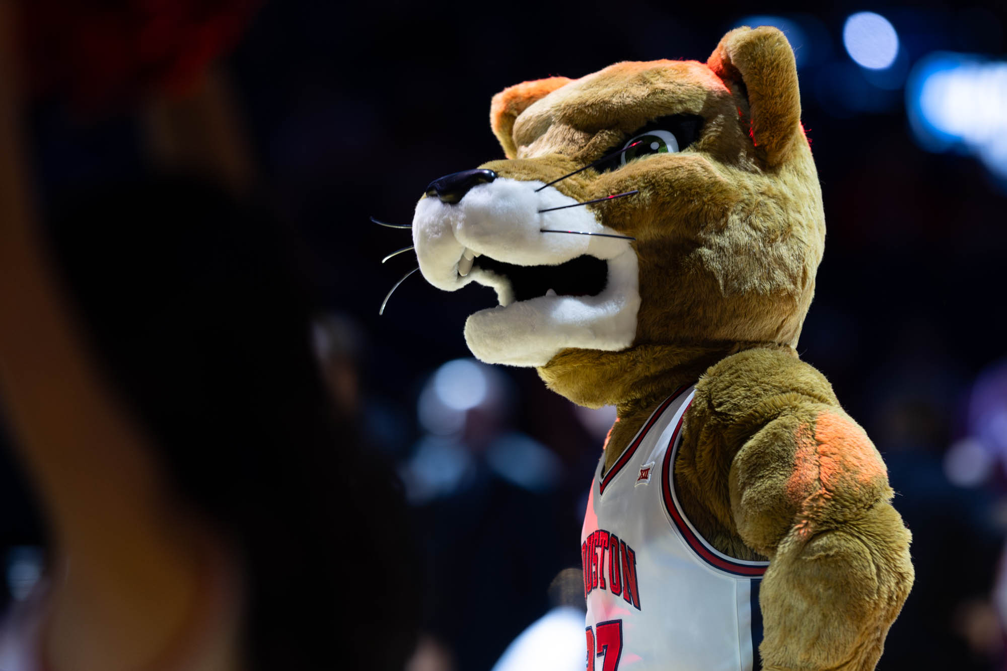 GALLERY: Men's Basketball vs. Houston
